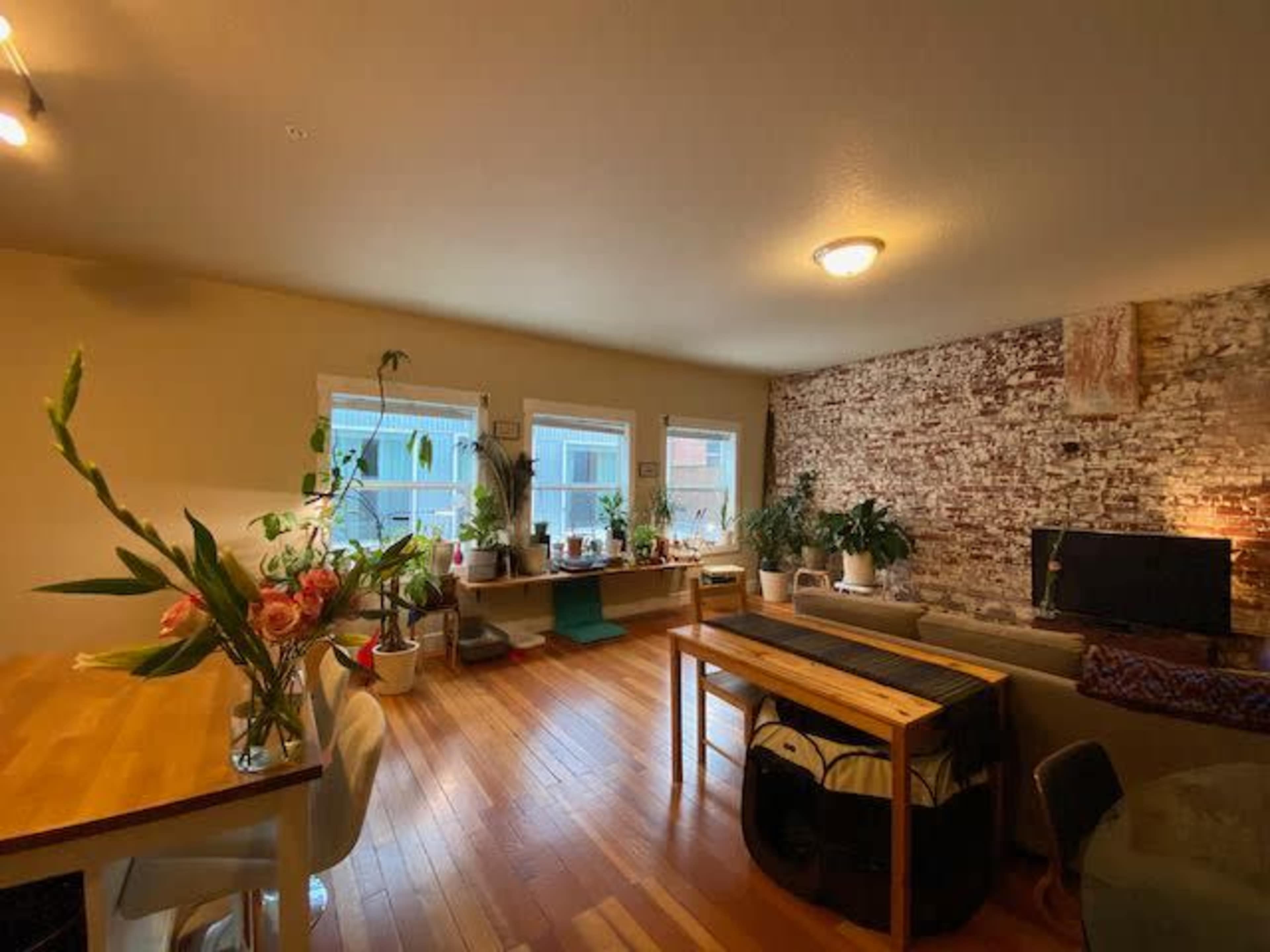 A cozy living space features wooden flooring, large windows with plants, a brick accent wall, and a dining table.
