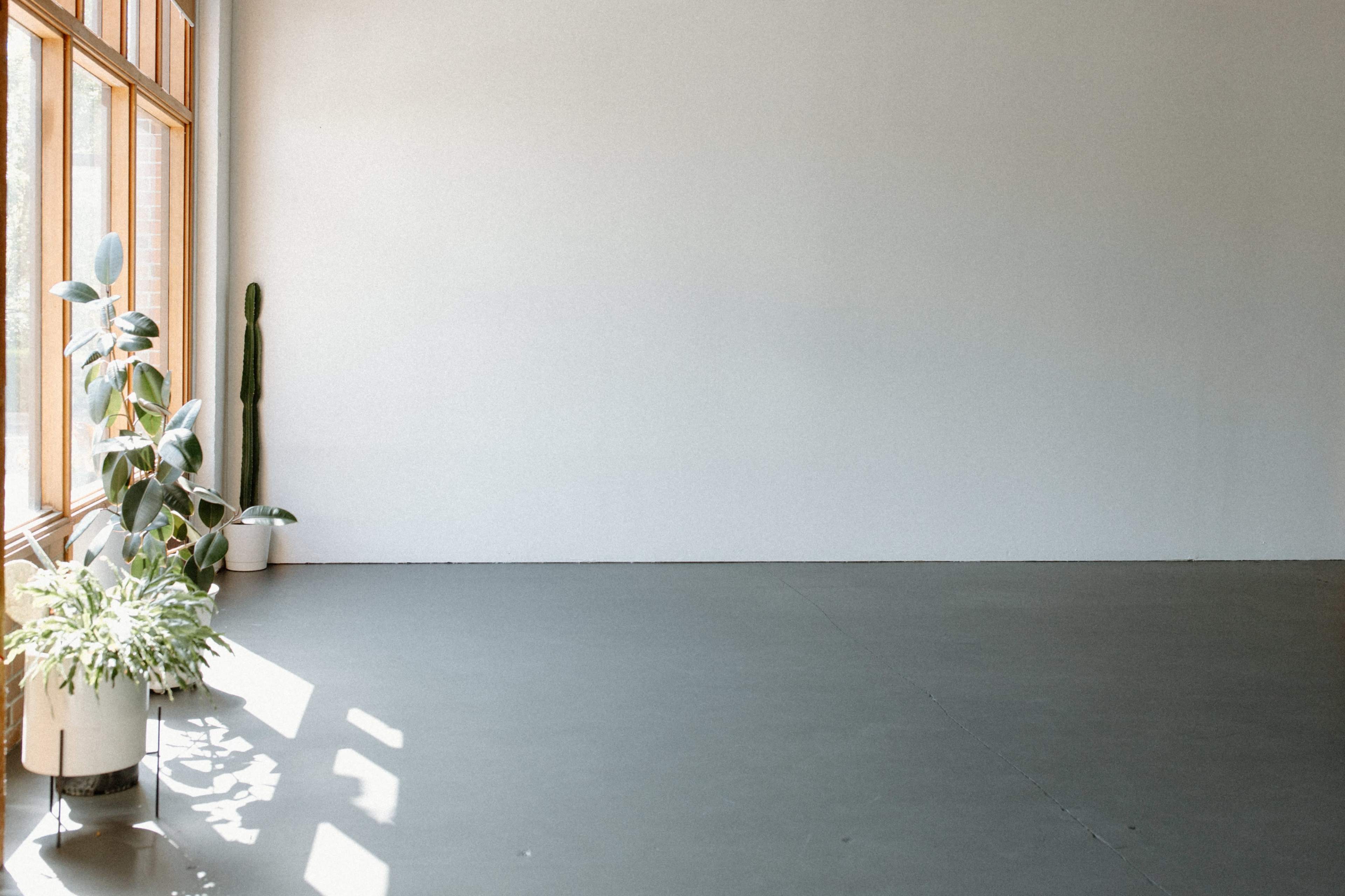A spacious room features a large window with sunlight streaming in, accompanied by potted plants in the corners.