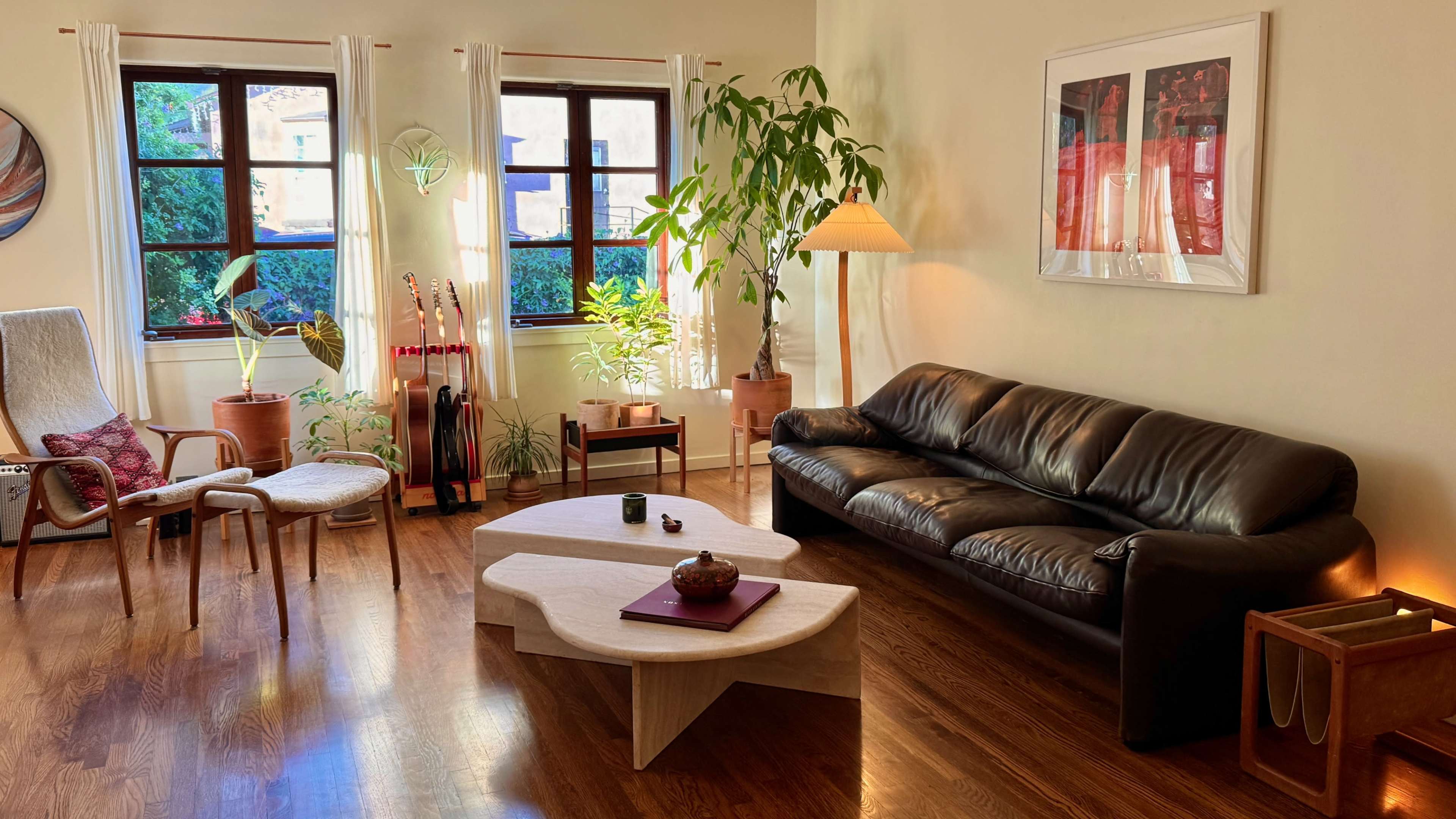 The room features a leather sofa, a wooden coffee table, and several houseplants, with natural light streaming through the windows.