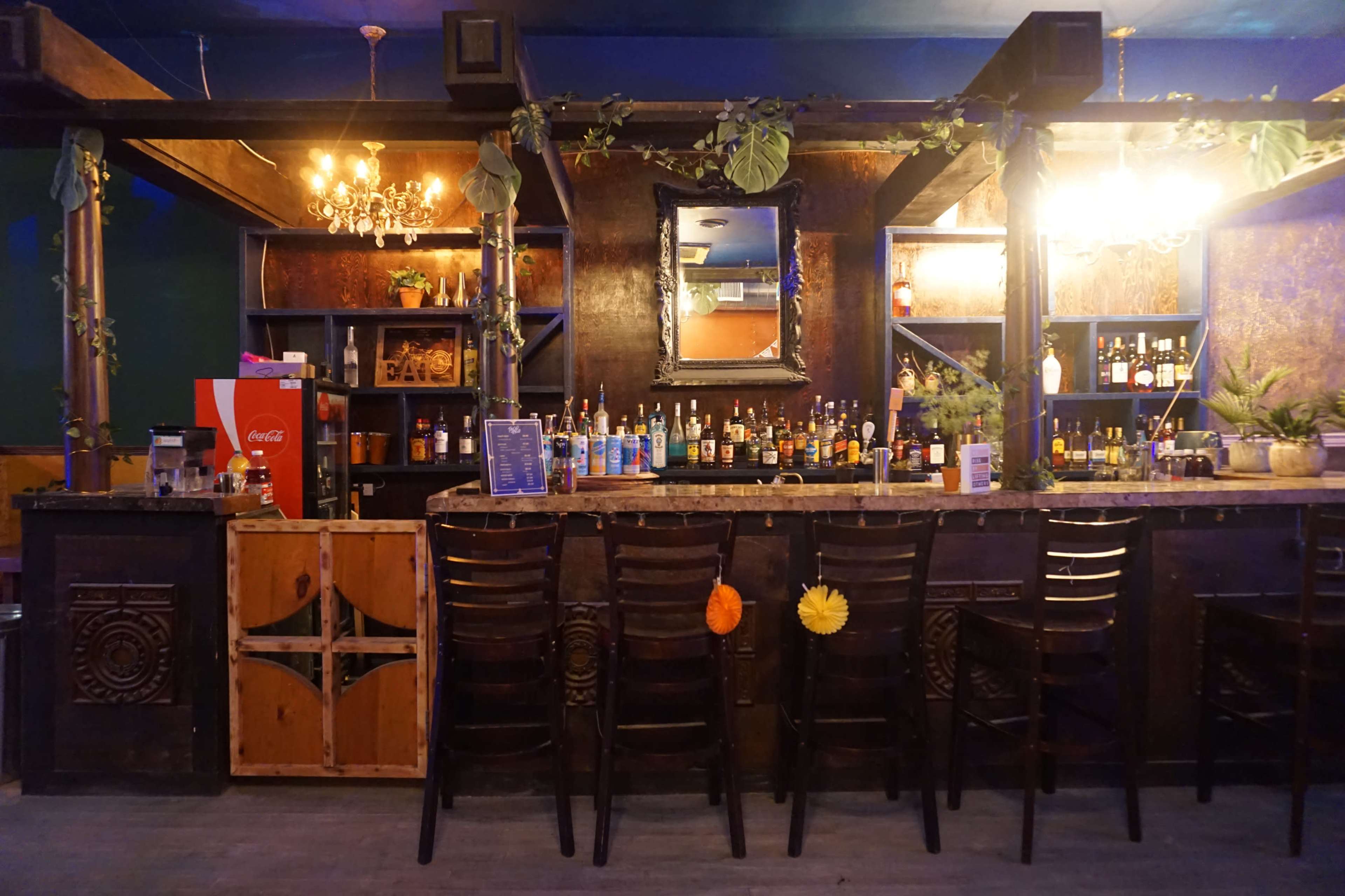 A dimly lit bar features a wooden counter with empty stools, shelves stocked with various bottles, and decorative plants.