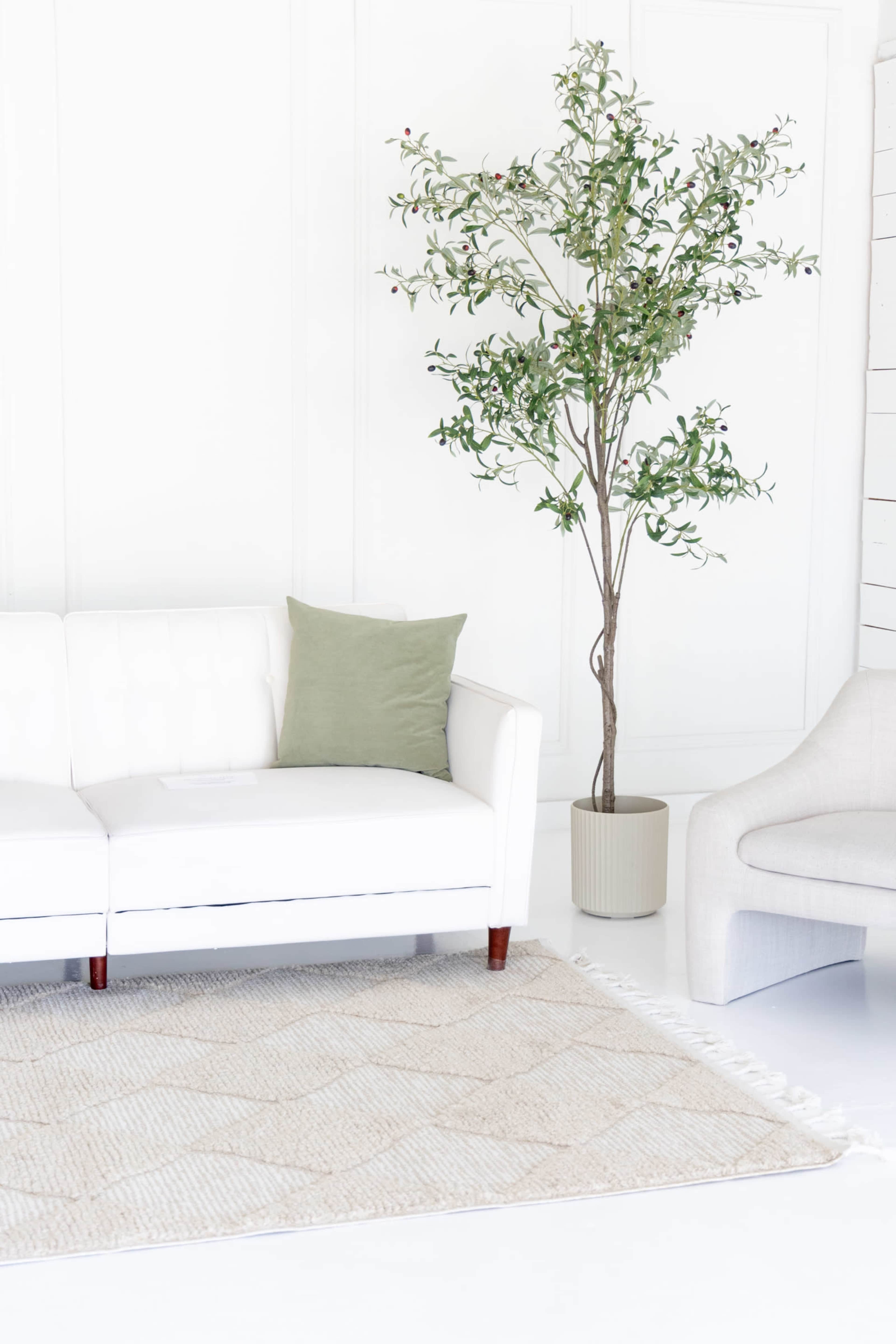 The image shows a minimalist living room with a white couch, a green pillow, a small decorative tree in a planter, and a light-toned rug on the floor.
