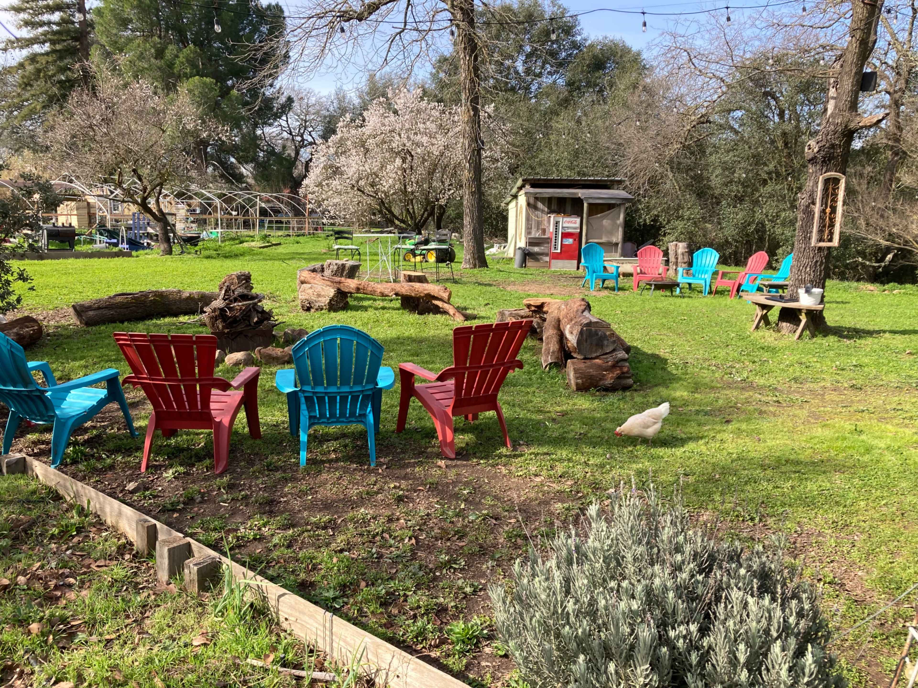 Cozy Fireside Experience @Bliss Farm Image in Citrus Heights, Citrus Heights, CA