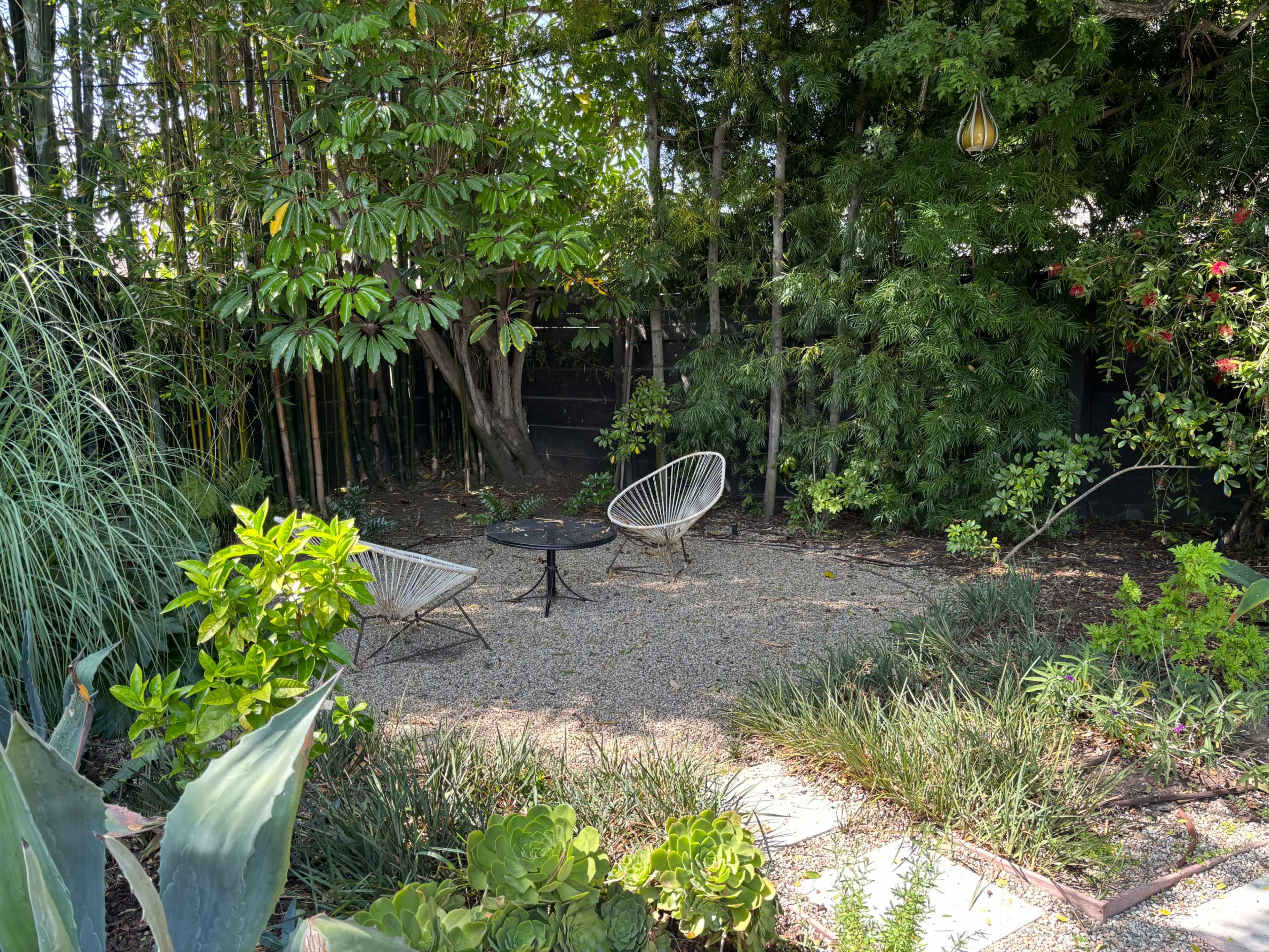 Big, lush Venice backyard with pool Image in Venice, Venice, CA