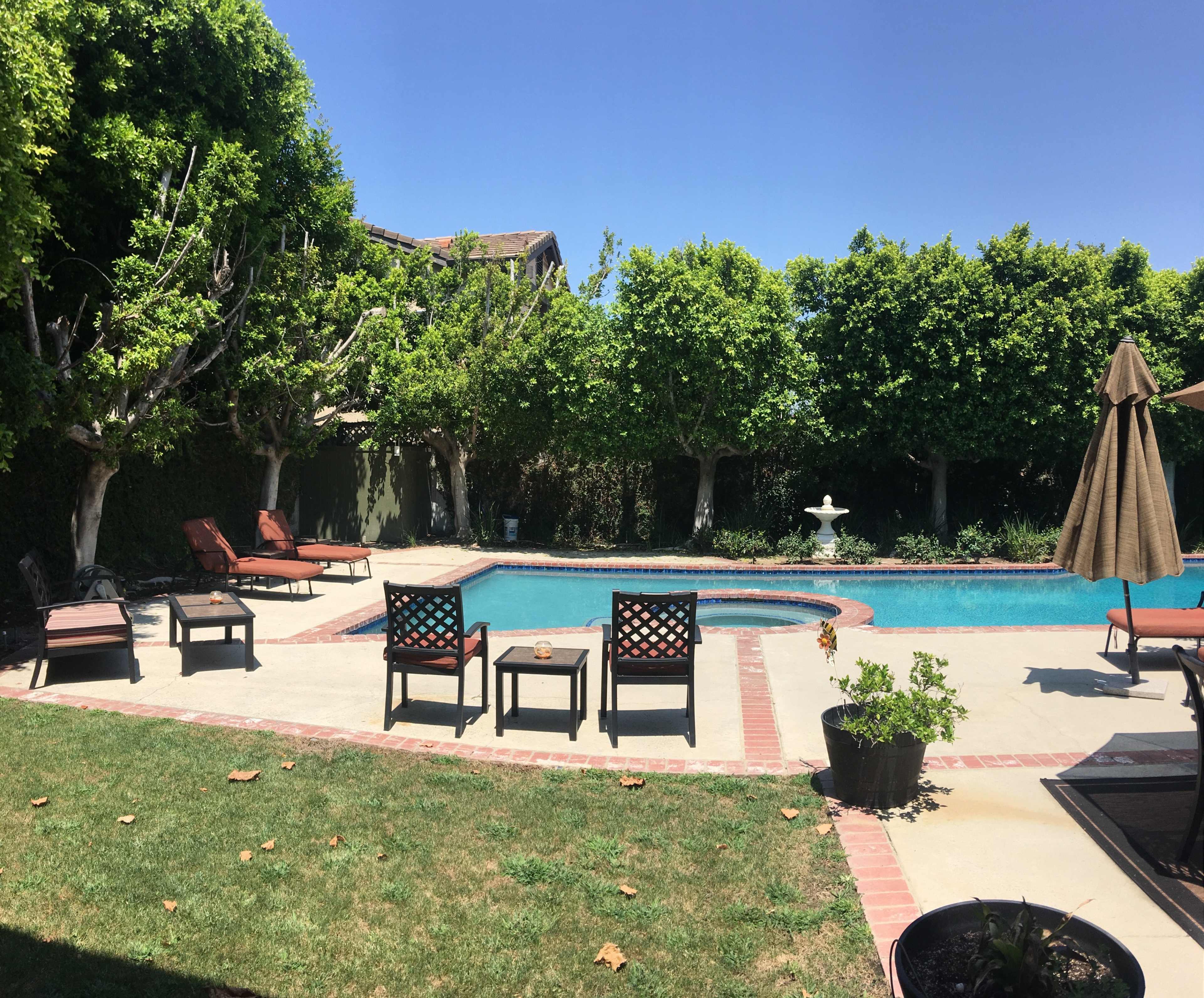 The image shows a backyard pool area surrounded by trees, with lounge chairs arranged on the patio and a fountain in the background.