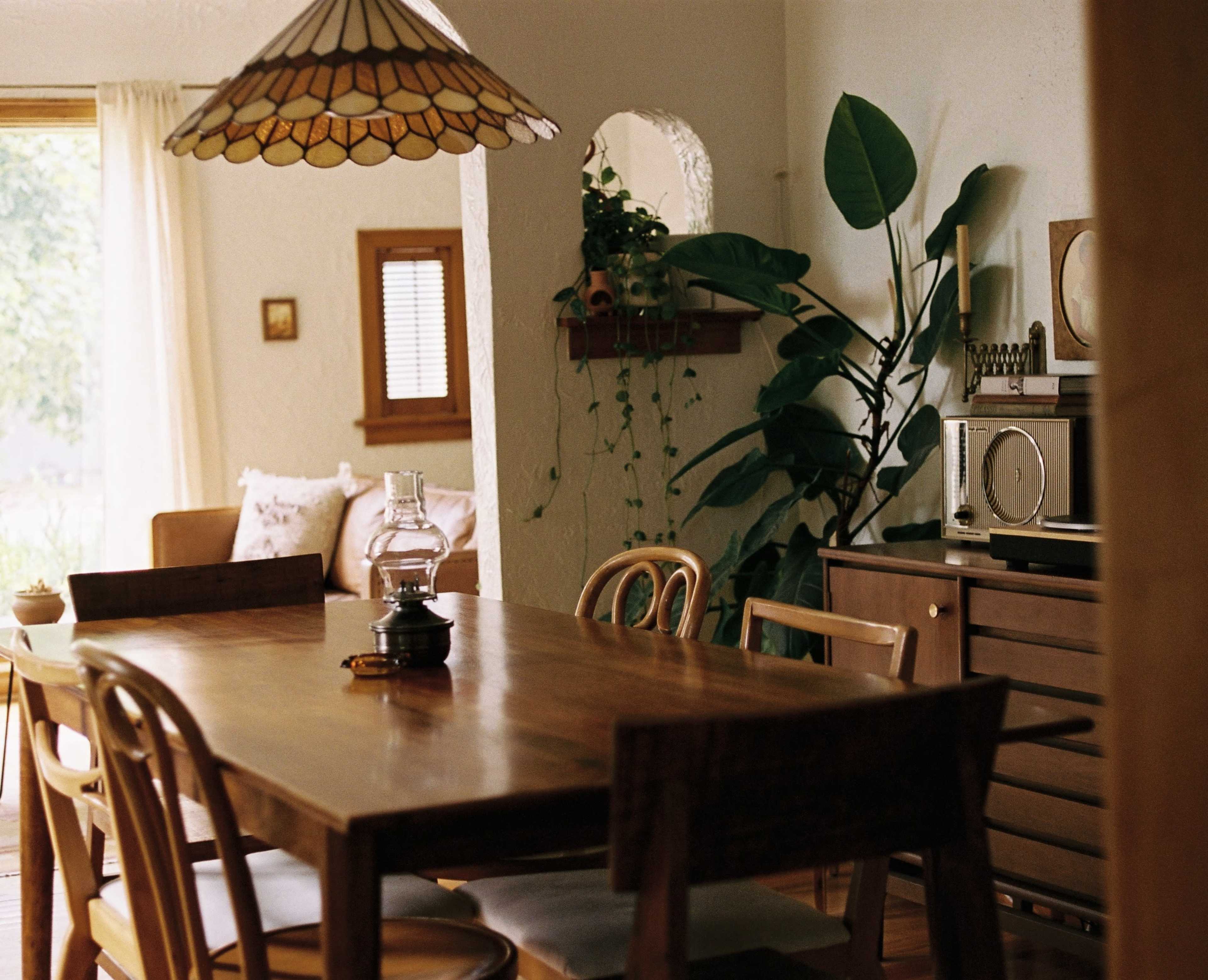 The image shows a cozy dining area with a wooden table, chairs, and a vintage radio, complemented by a large indoor plant and soft natural light from a nearby window.