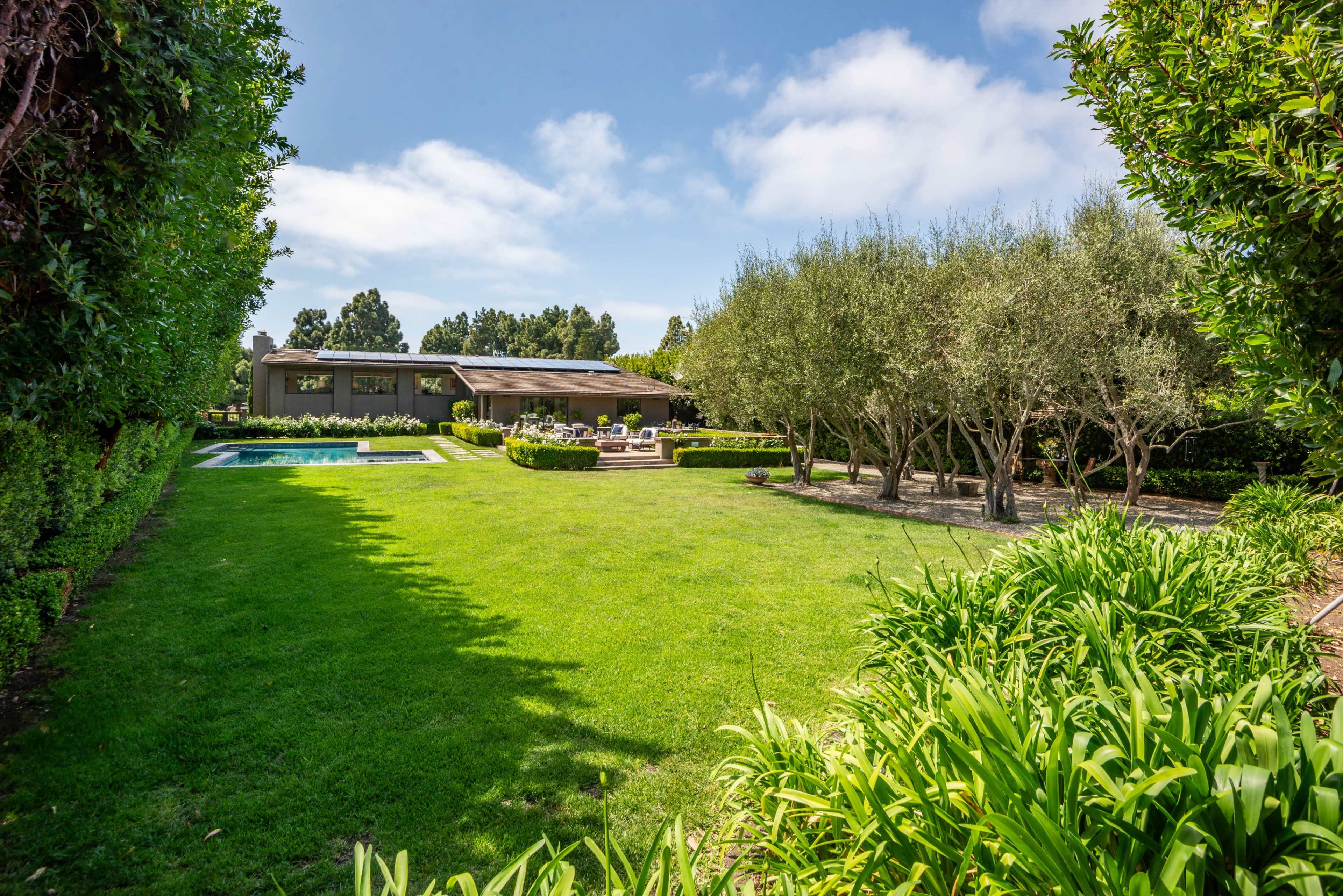 The image shows a neatly landscaped backyard with a lawn, a swimming pool, a modern home in the background, and several olive trees.