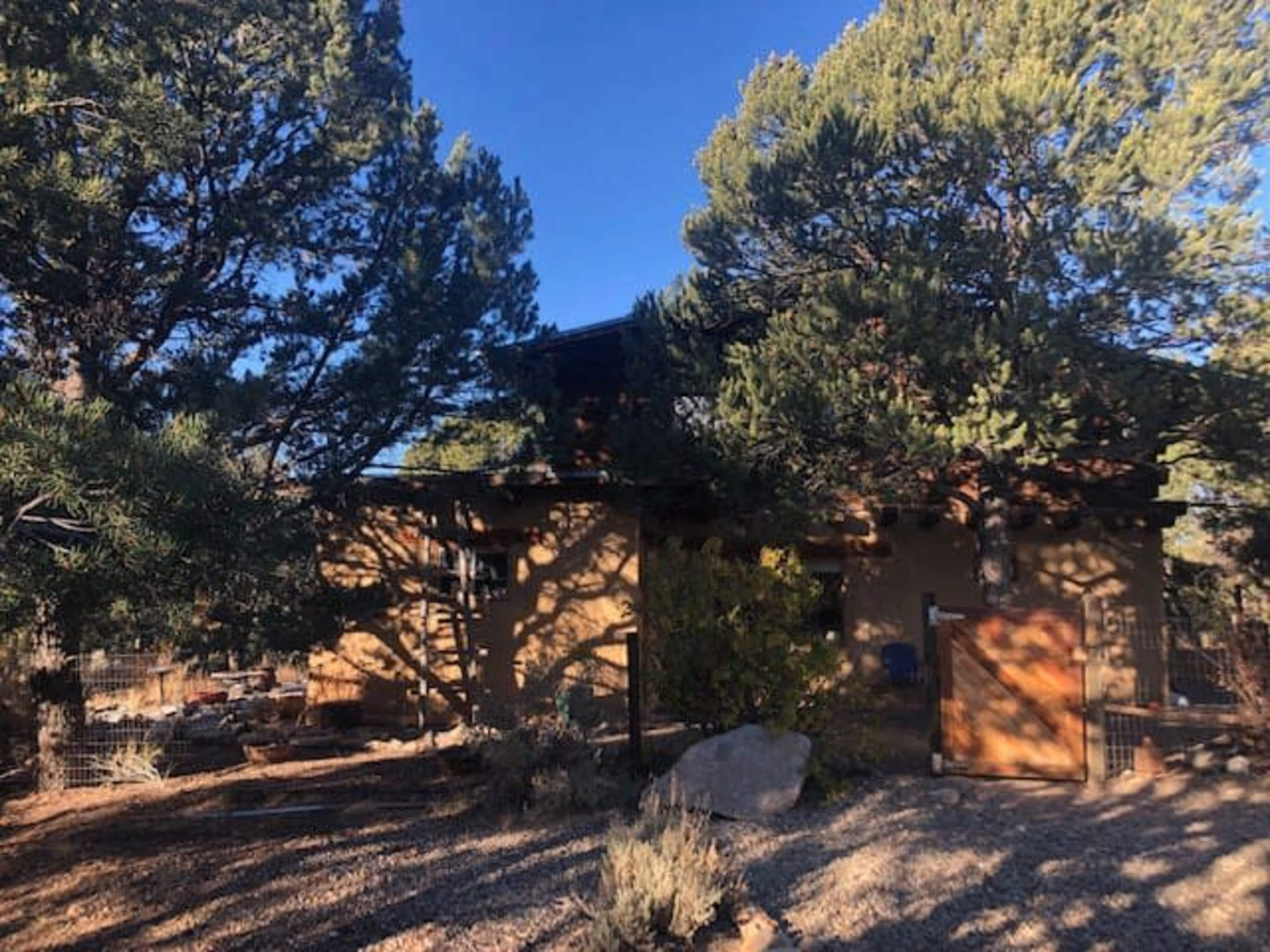 A small, earthy-colored house is nestled among tall pine trees with a gravel landscape in the foreground.
