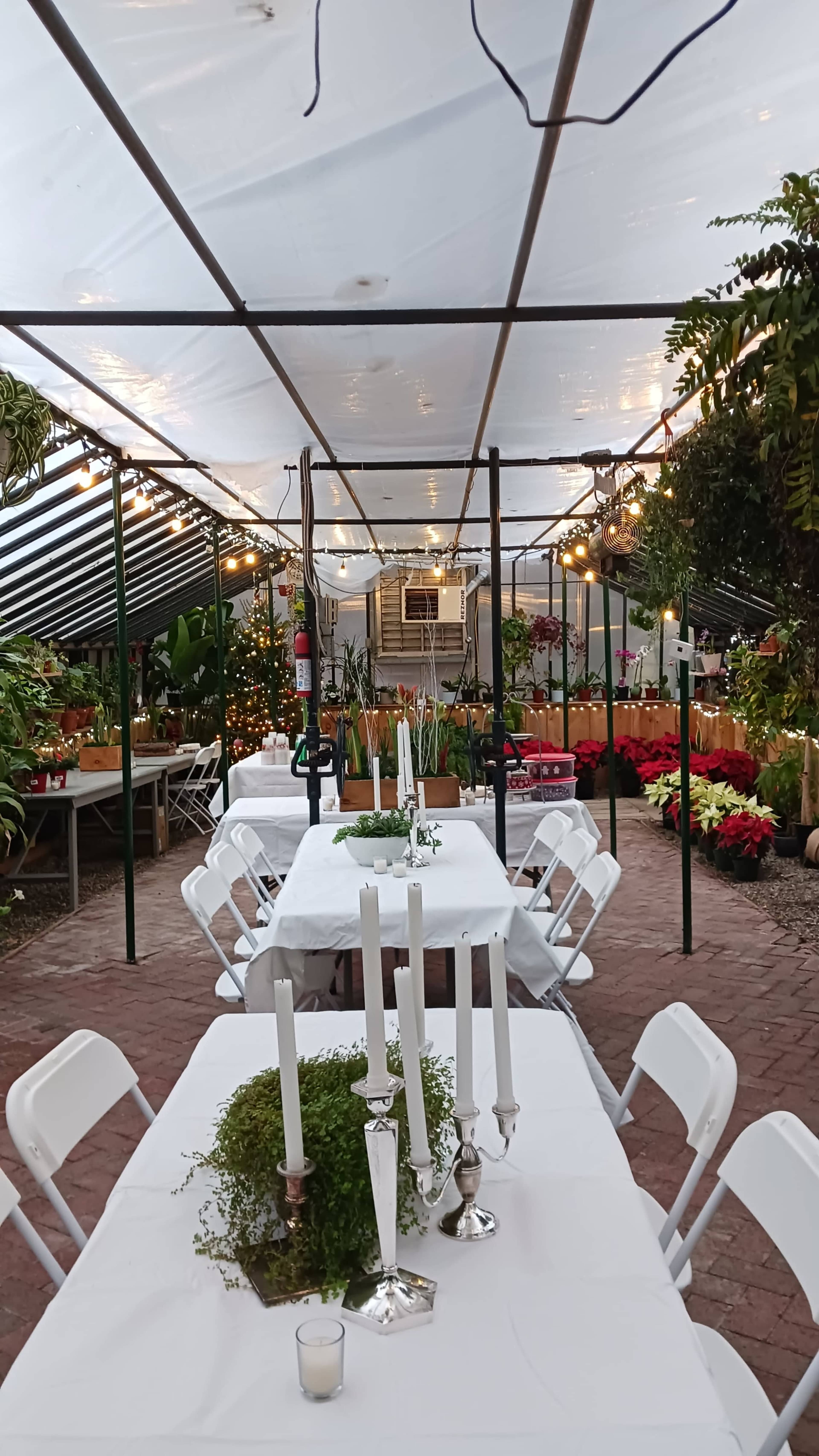 The image shows a greenhouse setup for an event, featuring several tables adorned with white tablecloths and candles, surrounded by various plants and festive decorations.