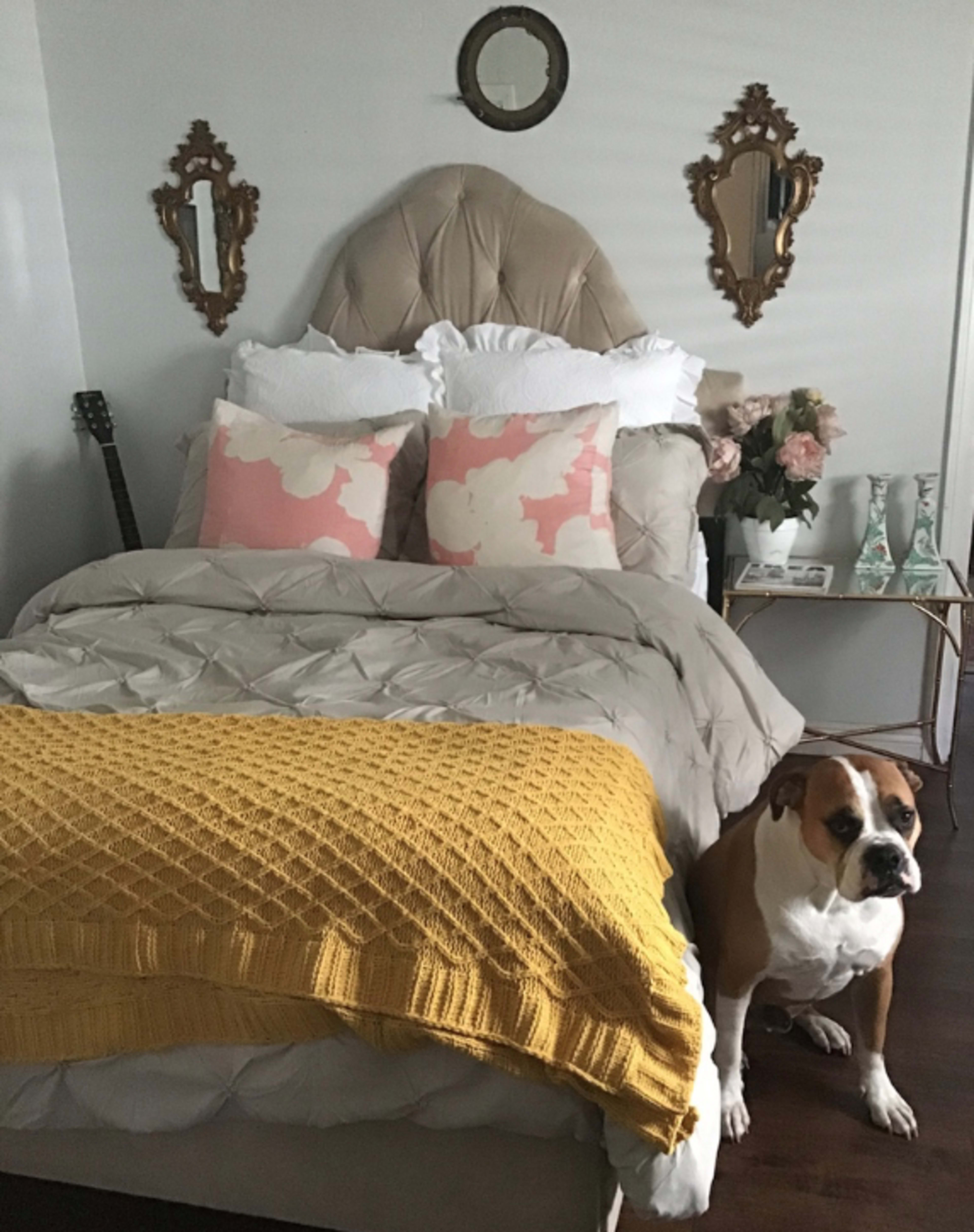 A neatly arranged bedroom features a bed with decorative pillows, a knitted blanket, and a boxer dog sitting beside it.