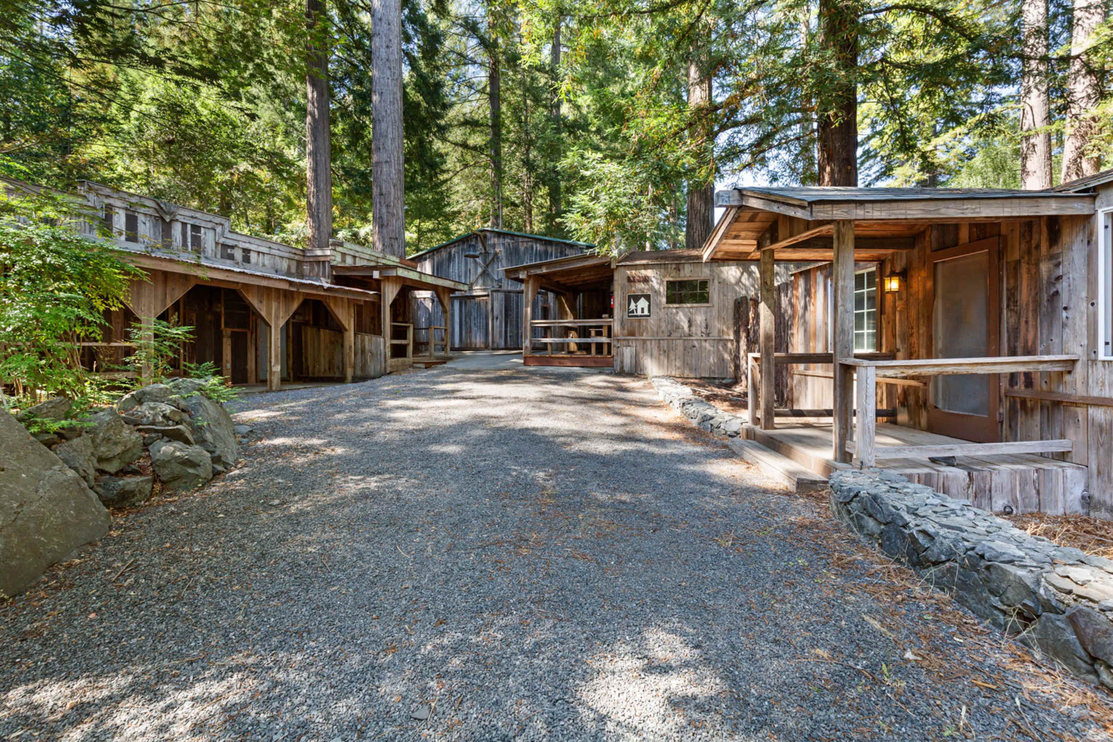 The image shows a rustic outdoor scene with several wooden structures surrounded by tall trees and a gravel pathway.