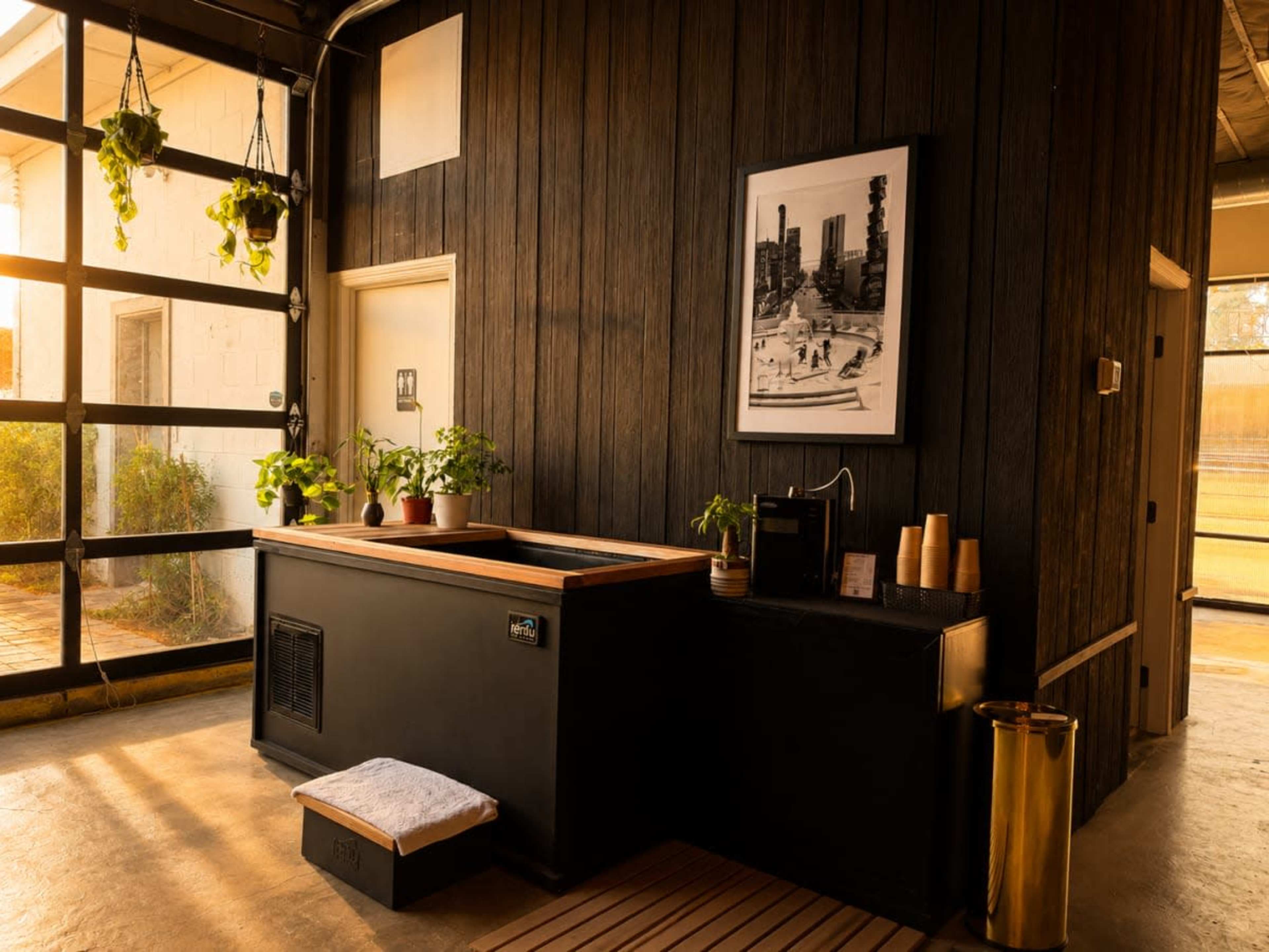 The image depicts a modern, minimalist interior space featuring a black basin with wooden accents, plants, a framed photograph on the wall, and large glass doors allowing natural light to enter.