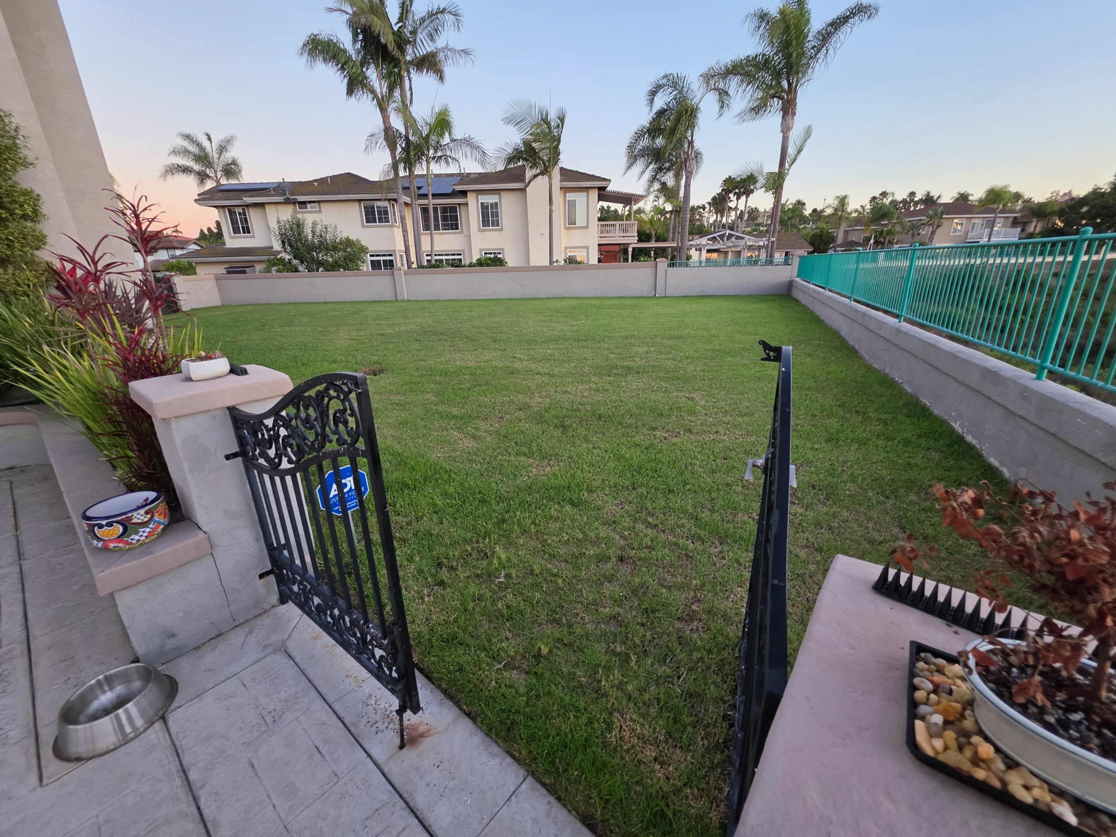 A fenced backyard with neatly mowed grass, surrounded by palm trees and residential buildings in the background.