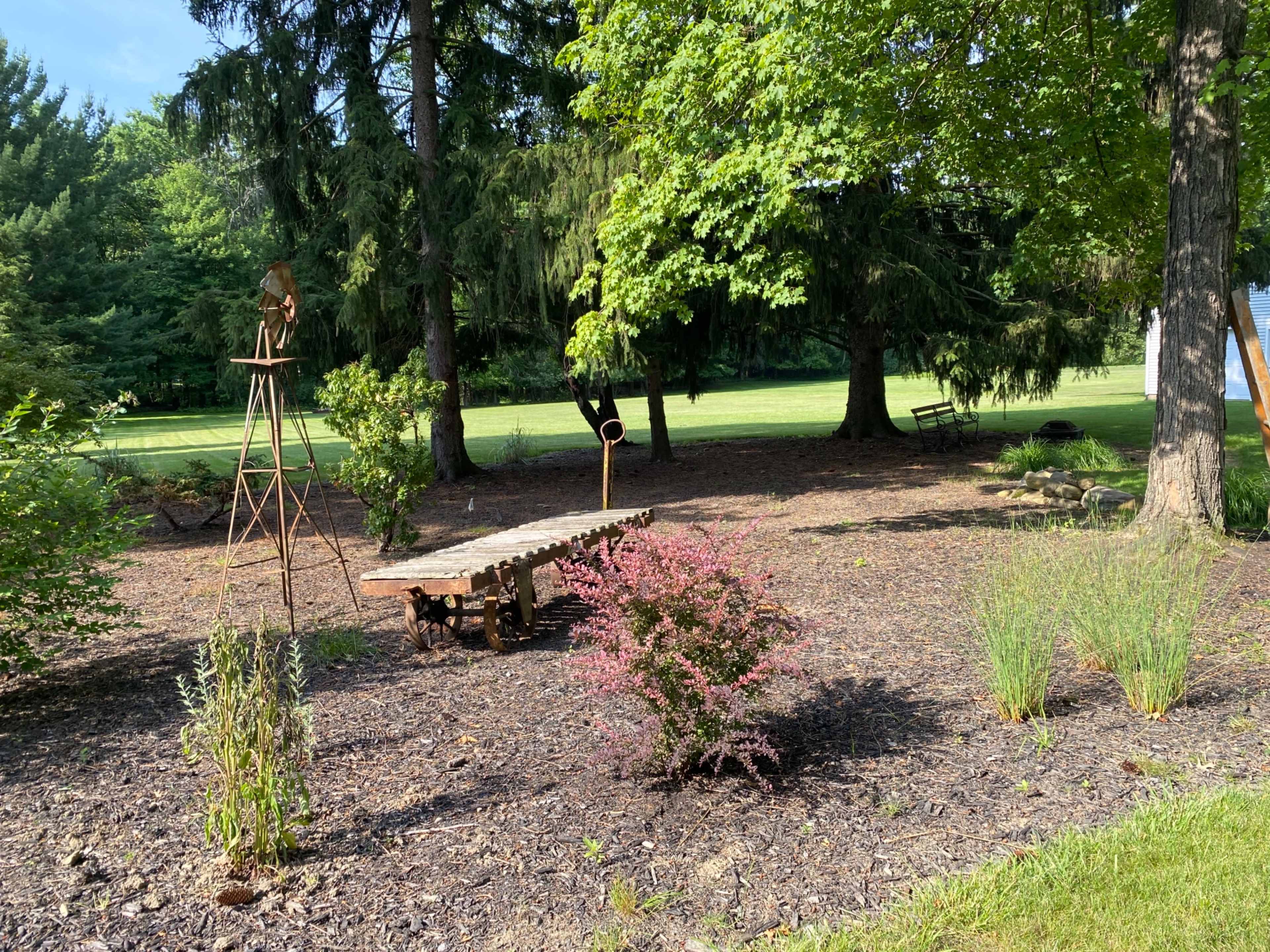 A garden area features a wooden bench, a stone pathway, and various plants surrounded by tall trees.