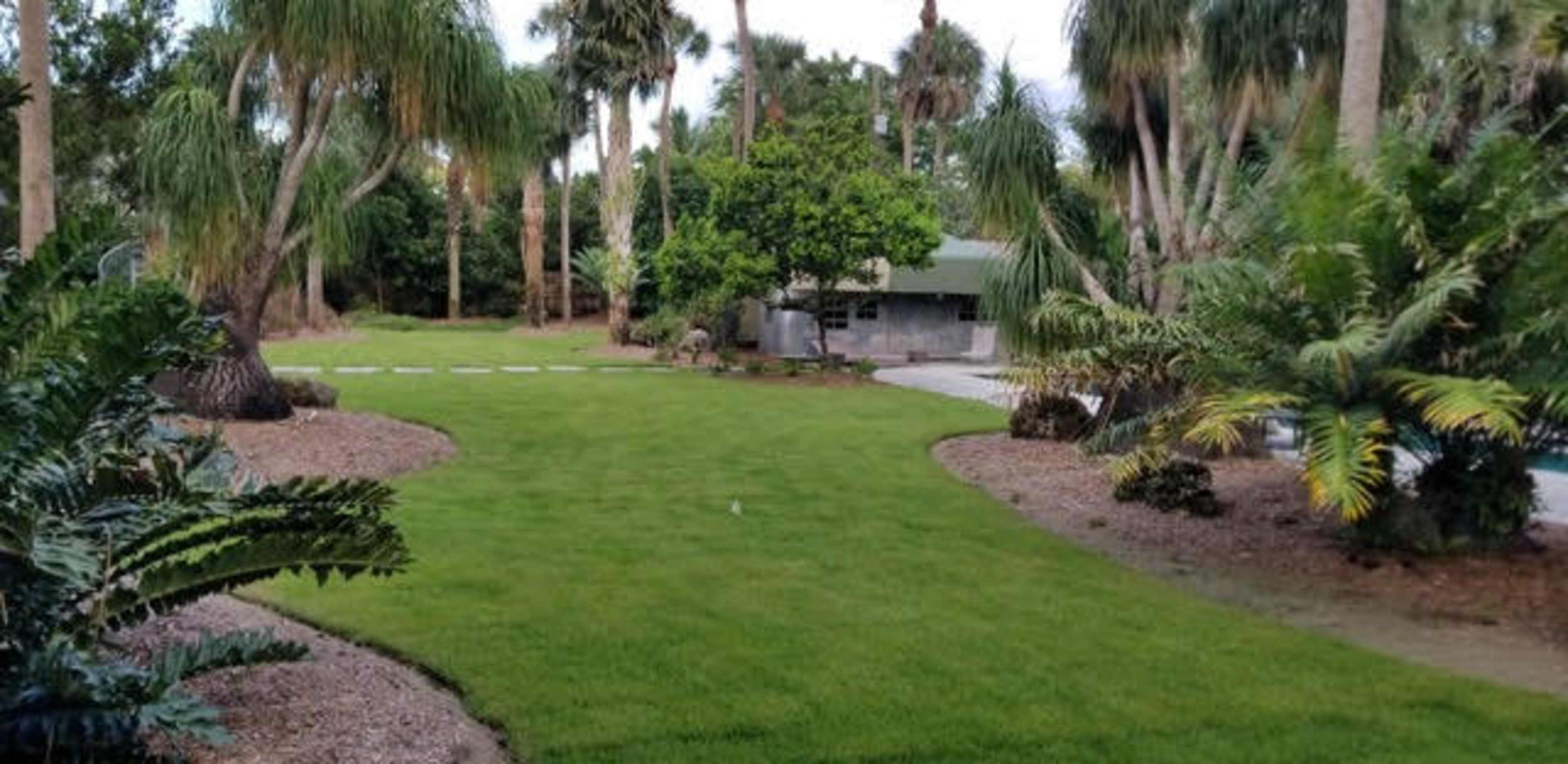 A lush green lawn surrounded by palm trees and tropical plants, with a patio area and pathway in the background.