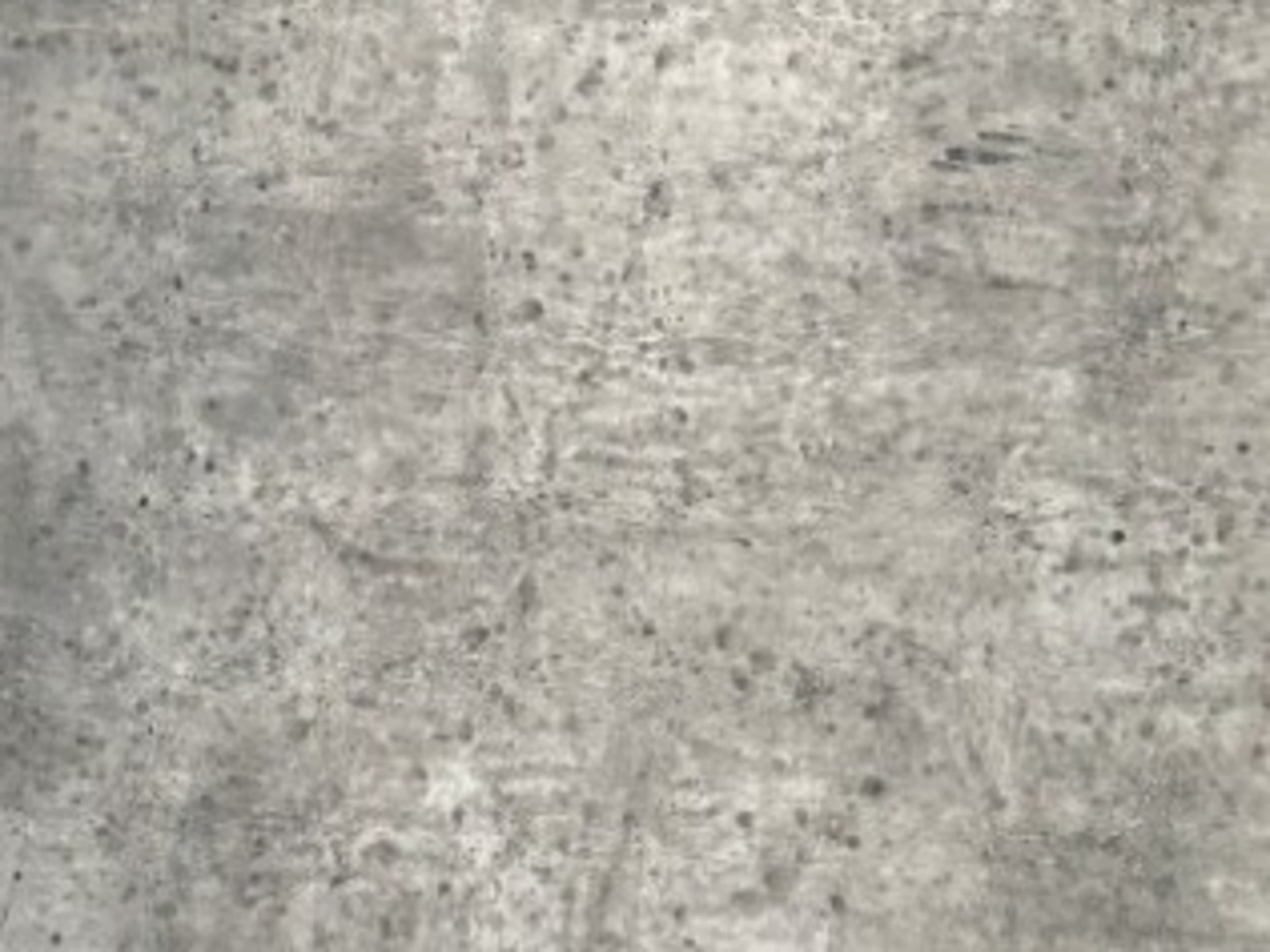 Light-Grey Hand-Painted Backdrop