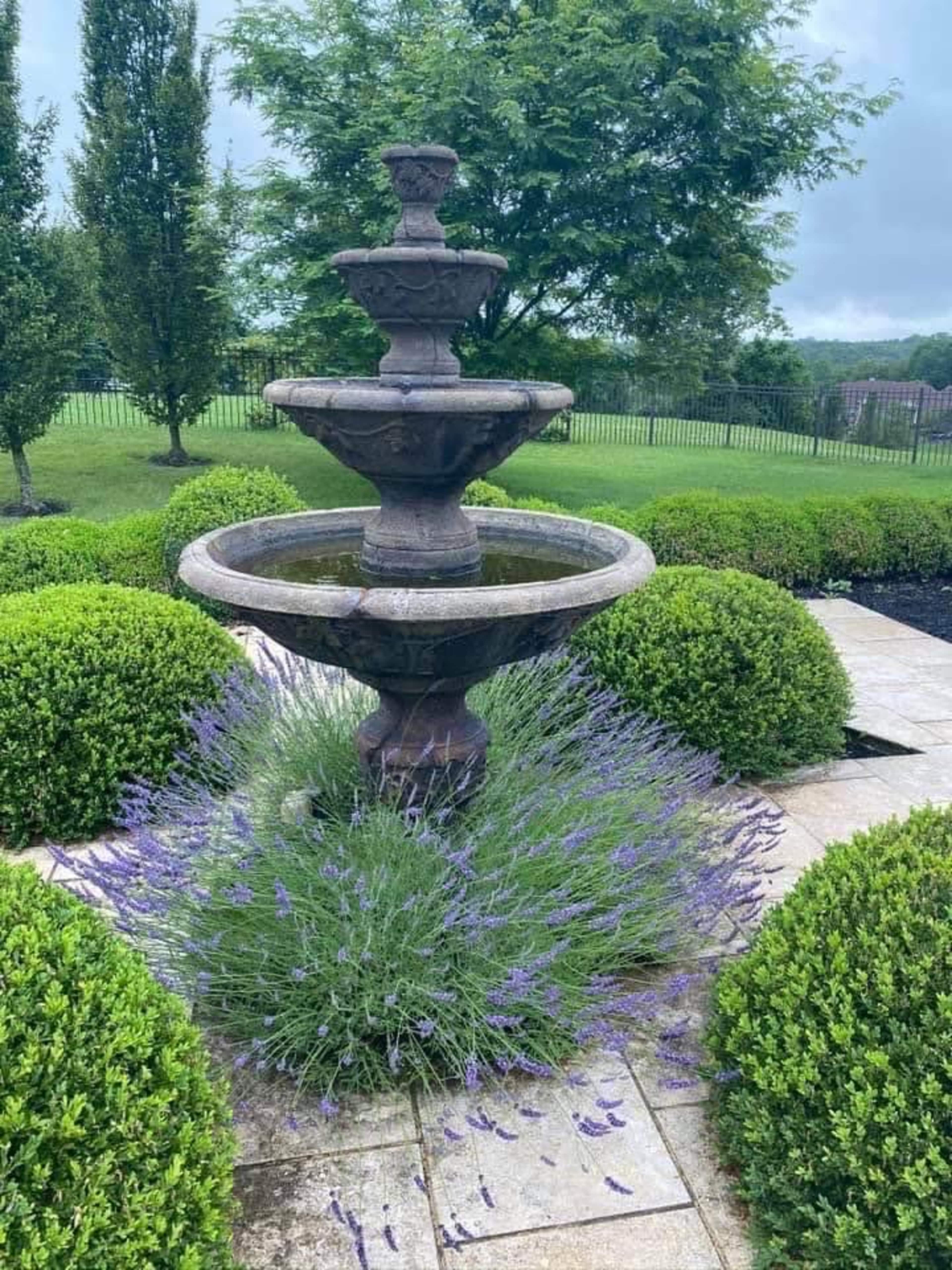 A three-tiered stone fountain surrounded by neatly trimmed hedges and blooming lavender plants.