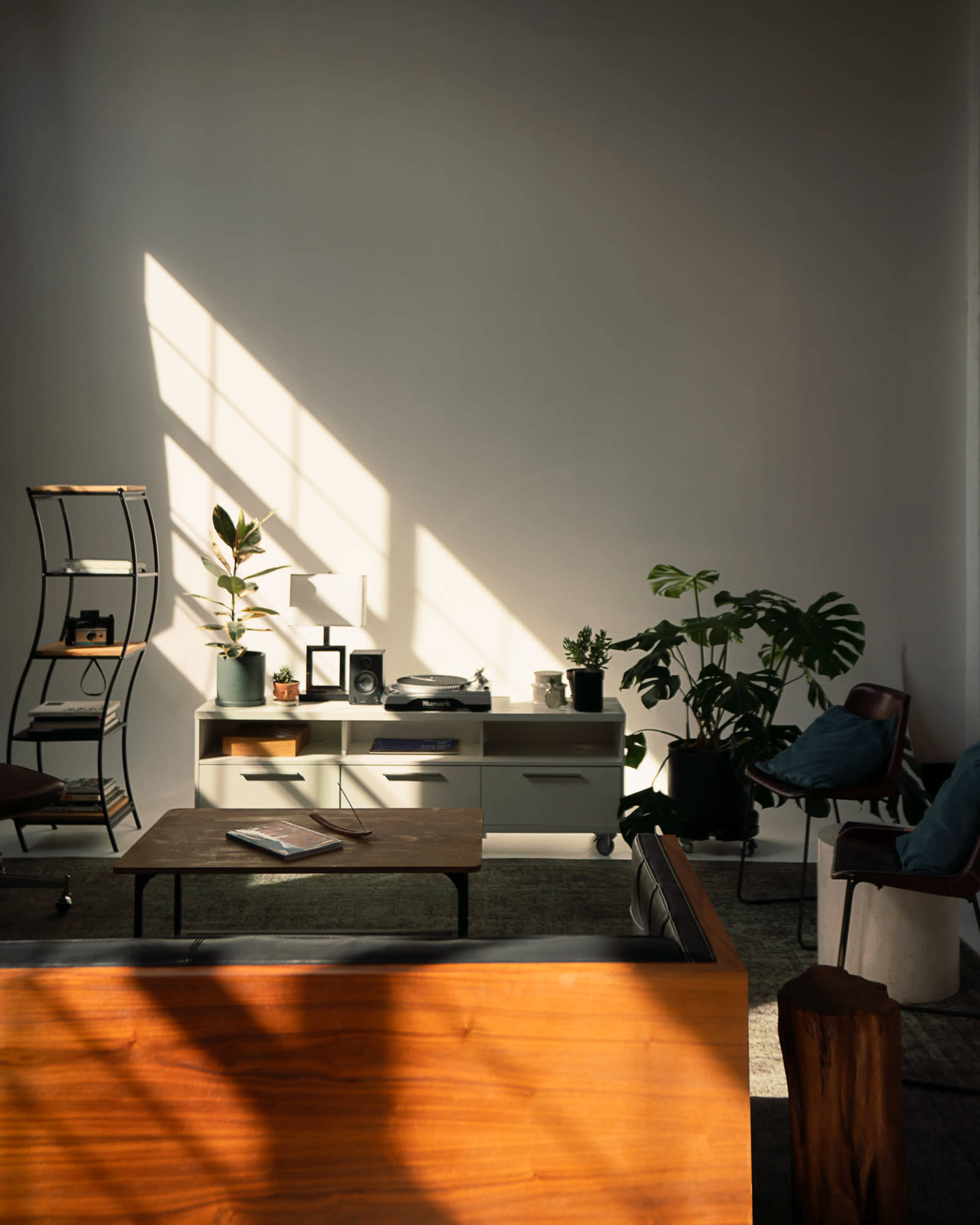 A neatly arranged living room features a wooden coffee table, a gray sideboard, houseplants, and a patterned rug under a large window casting diagonal shadows on the wall.