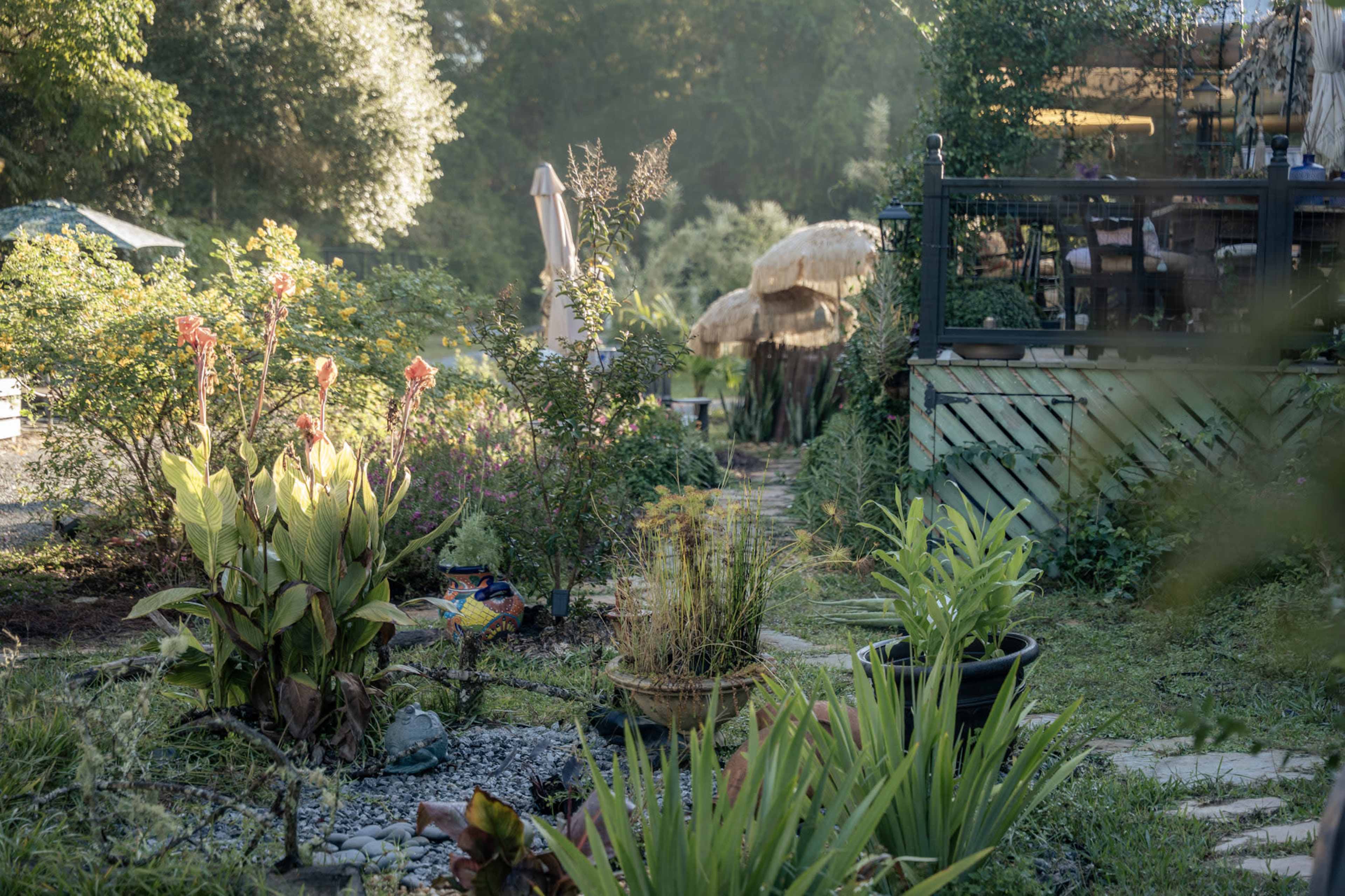 The image shows a lush garden path lined with various plants, leading towards a seating area with umbrellas and thatched structures in the background.