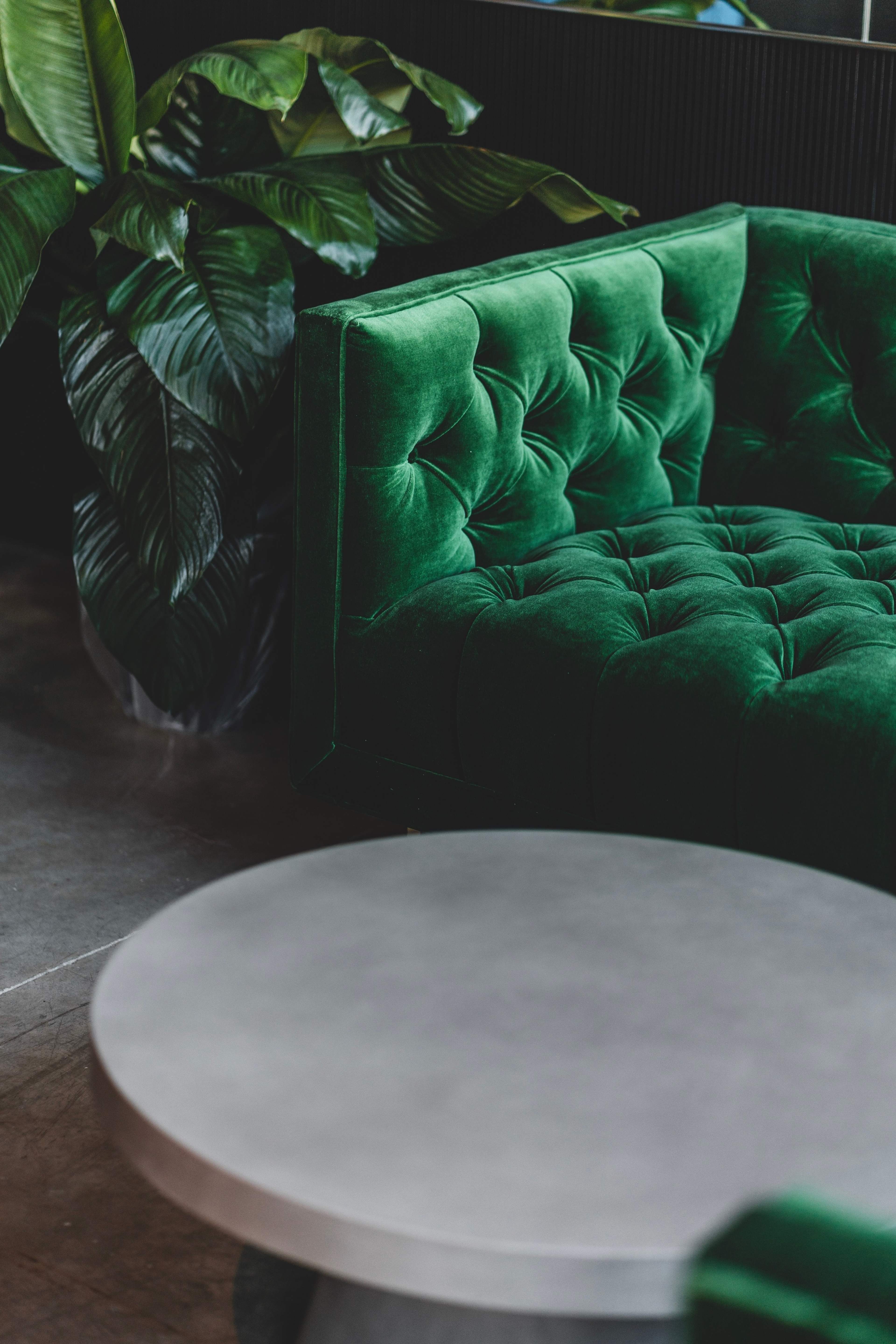 A green tufted velvet sofa next to a round concrete coffee table and large leafy plants in the background.