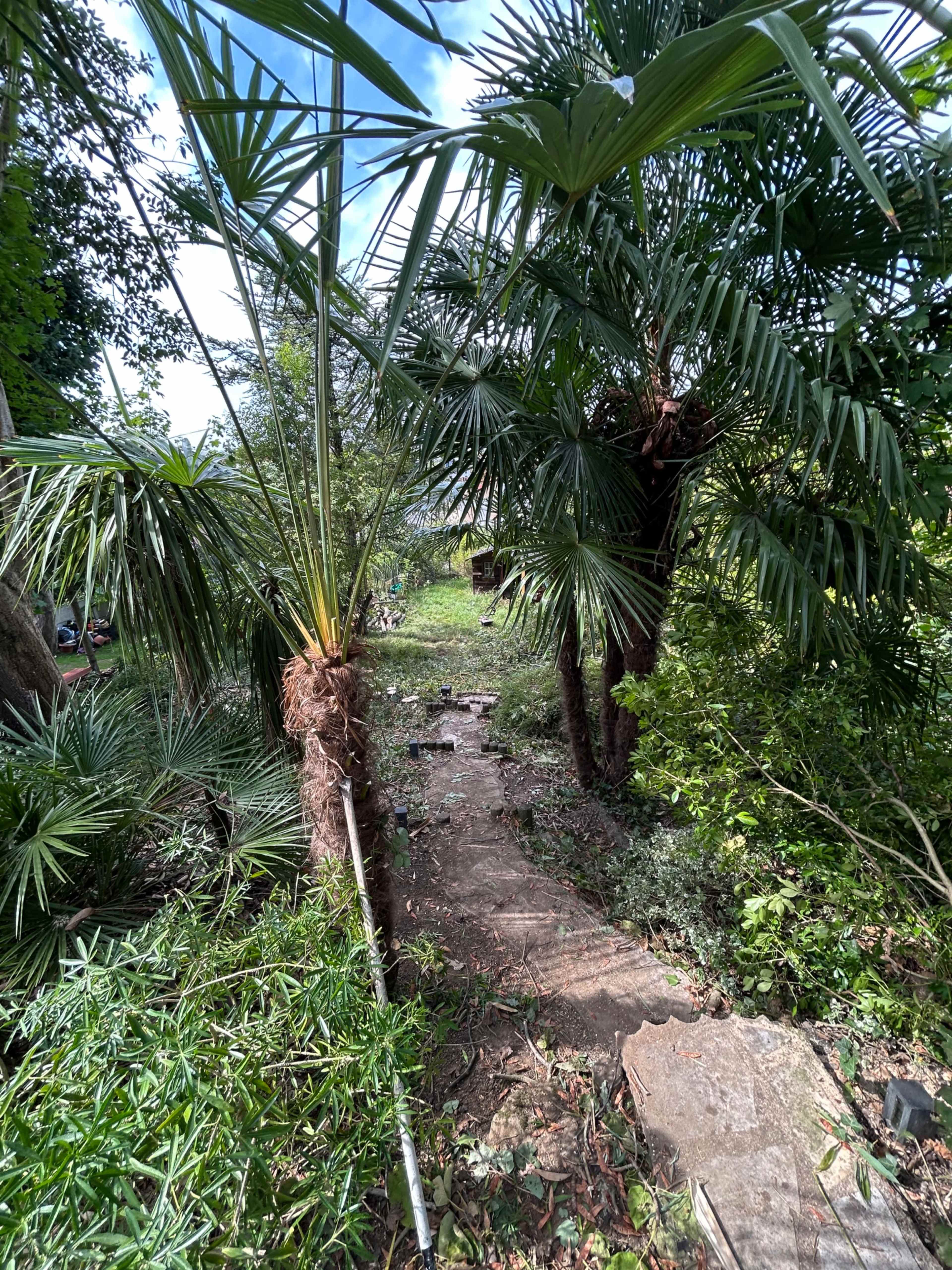 Maison avec jardin hauteur de colline vue sur Paris Image in , Chènevières-sur-marne