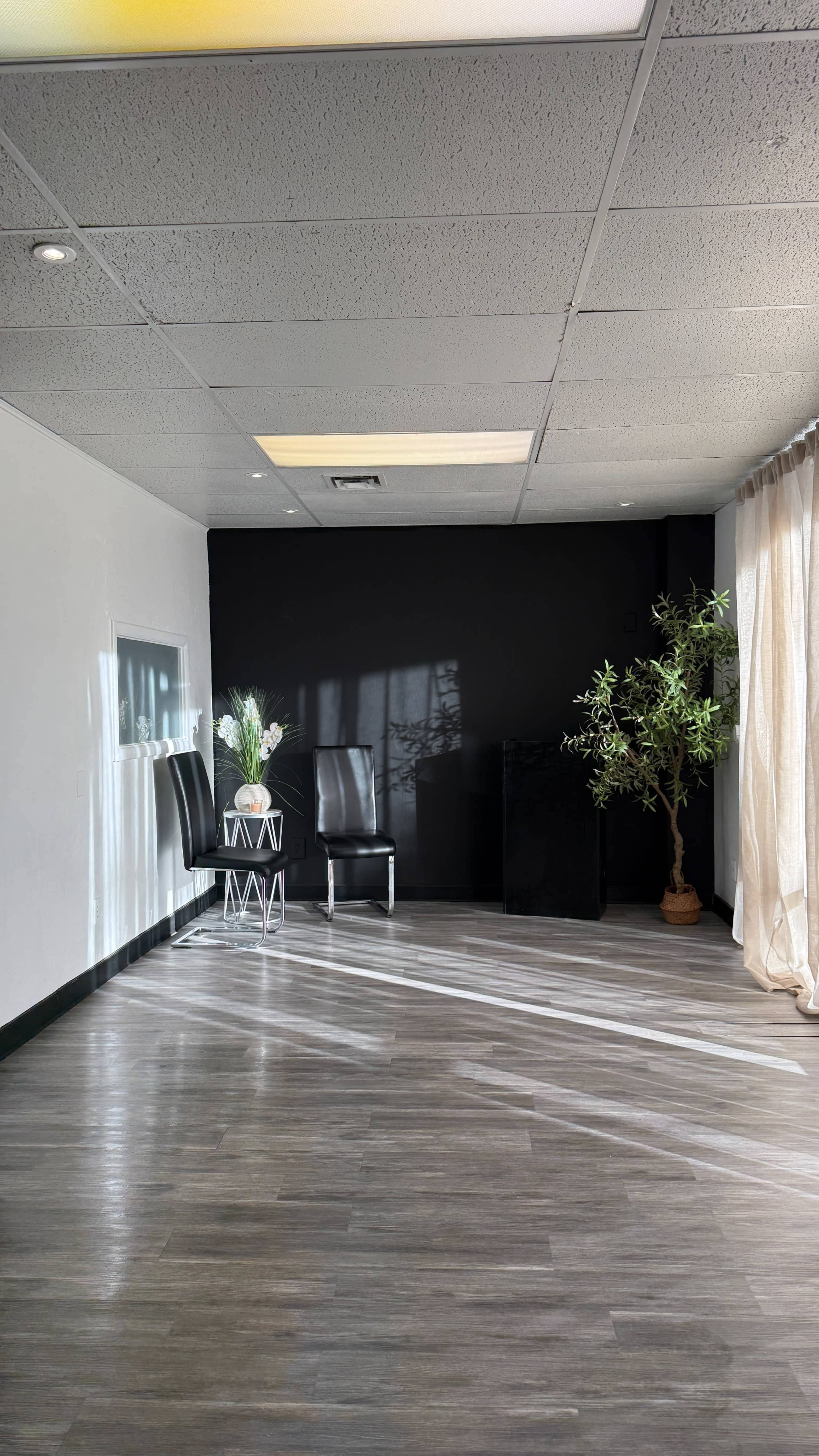 The room features two black chairs next to a small table with a plant, beside a potted tree, with sunlight casting shadows on the floor.
