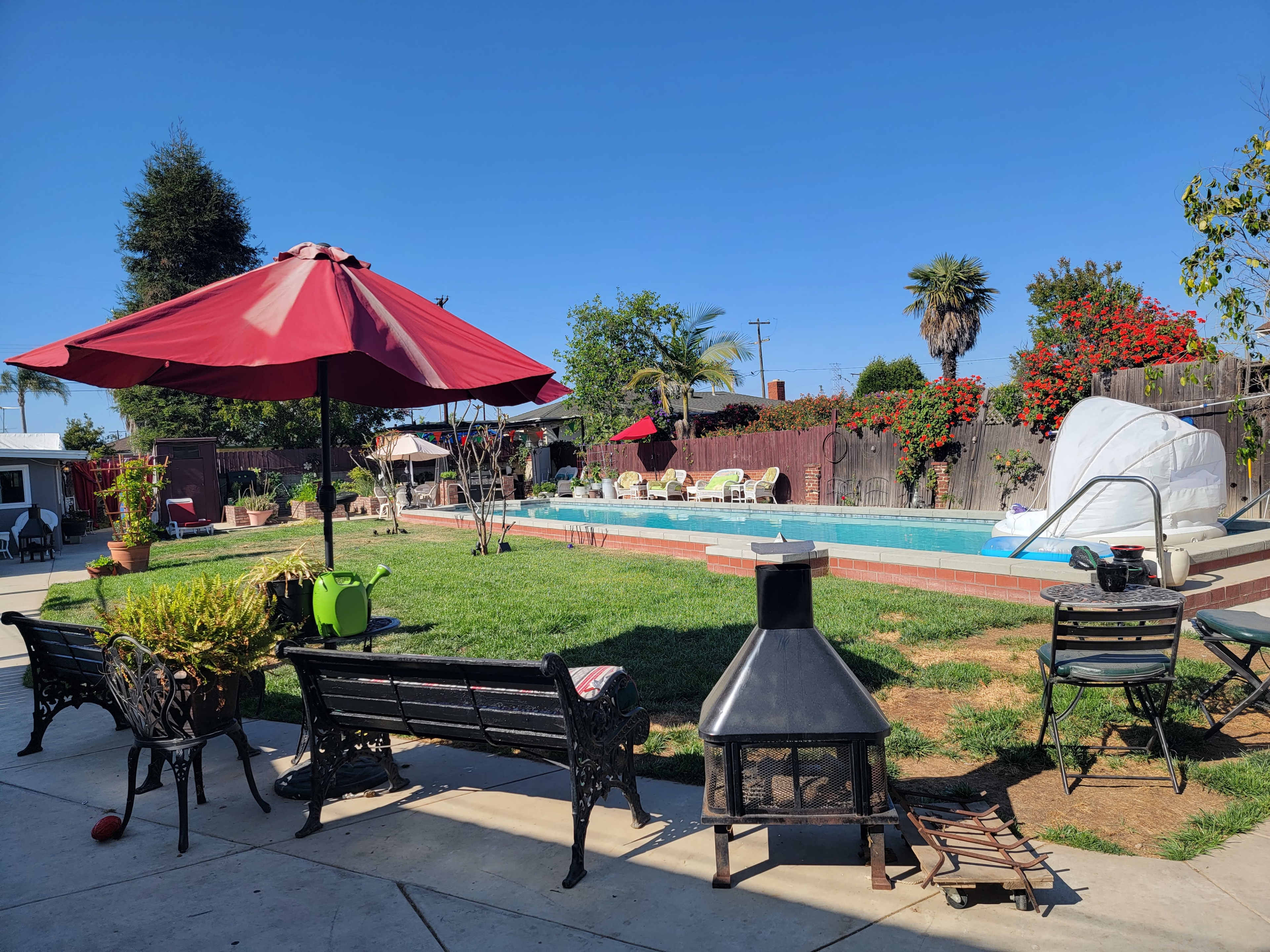A backyard featuring a swimming pool surrounded by lounge chairs and umbrellas, with a fire pit and various plants in the foreground.
