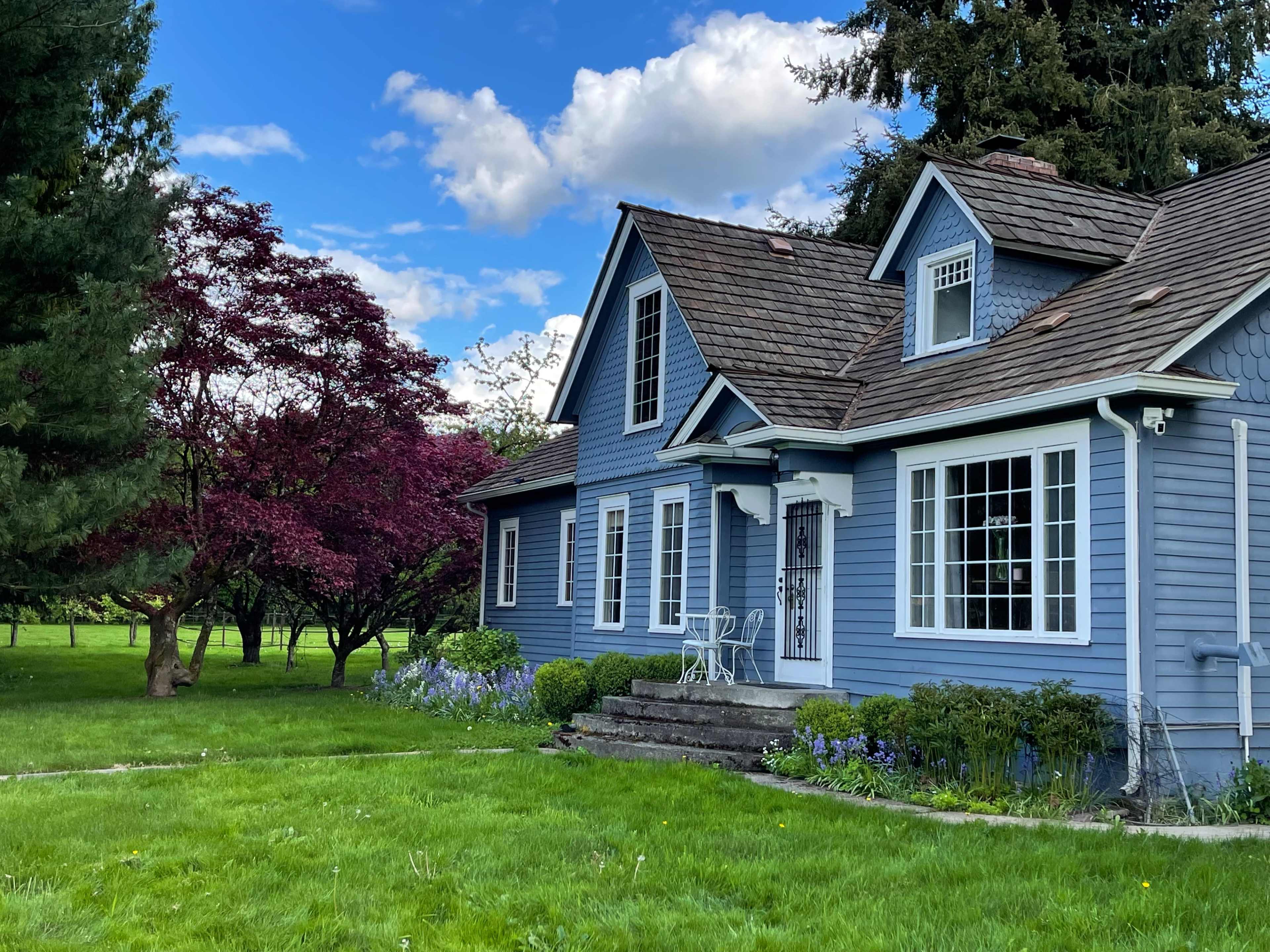 A blue house with a steep roof and large windows is set in a green lawn next to a flowering tree and shrubs.
