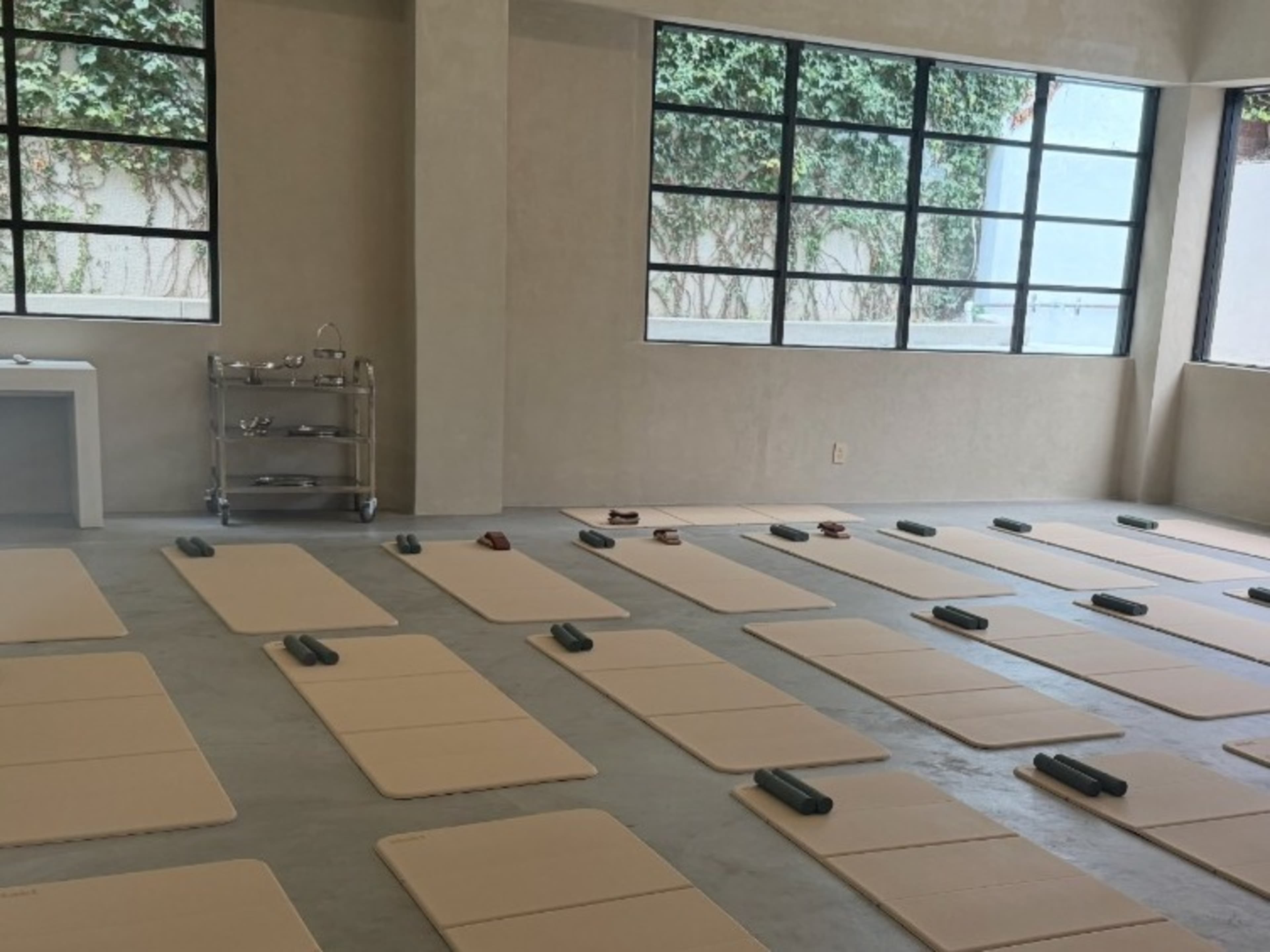 Wellness mat's and accessories