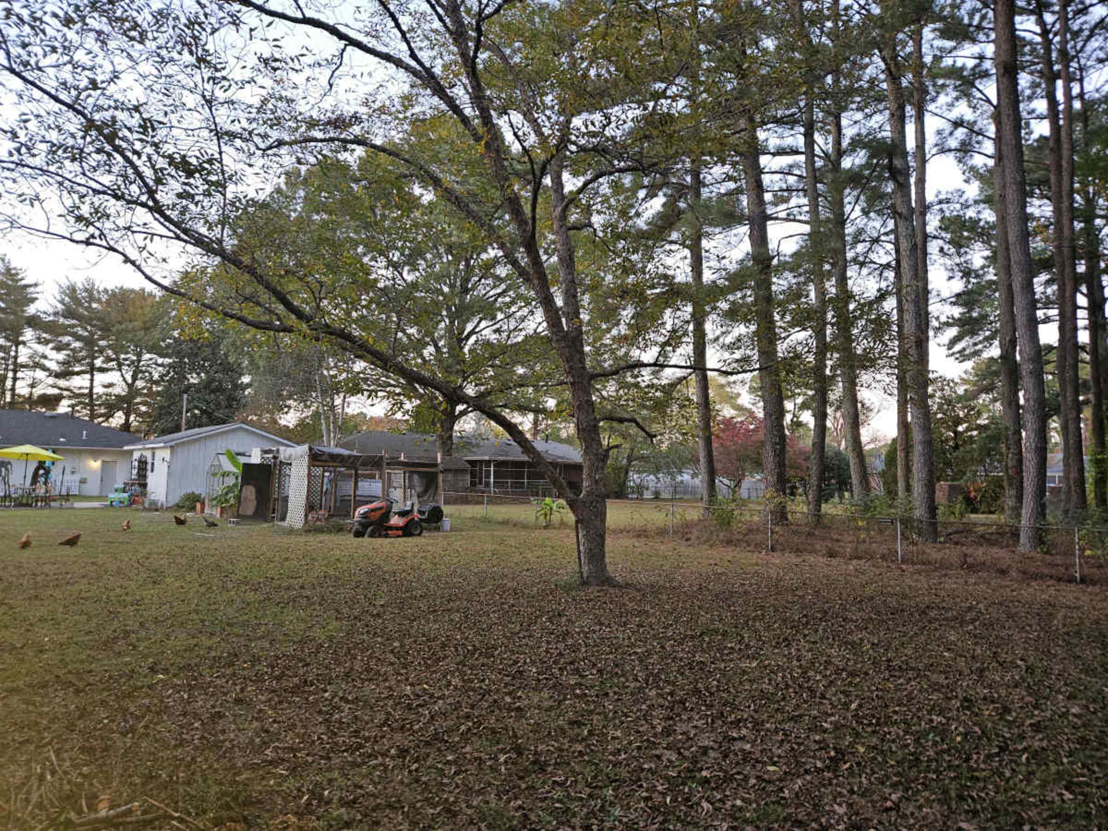 Suburban Play Space with Chickens Image in Western Branch South, Chesapeake, VA