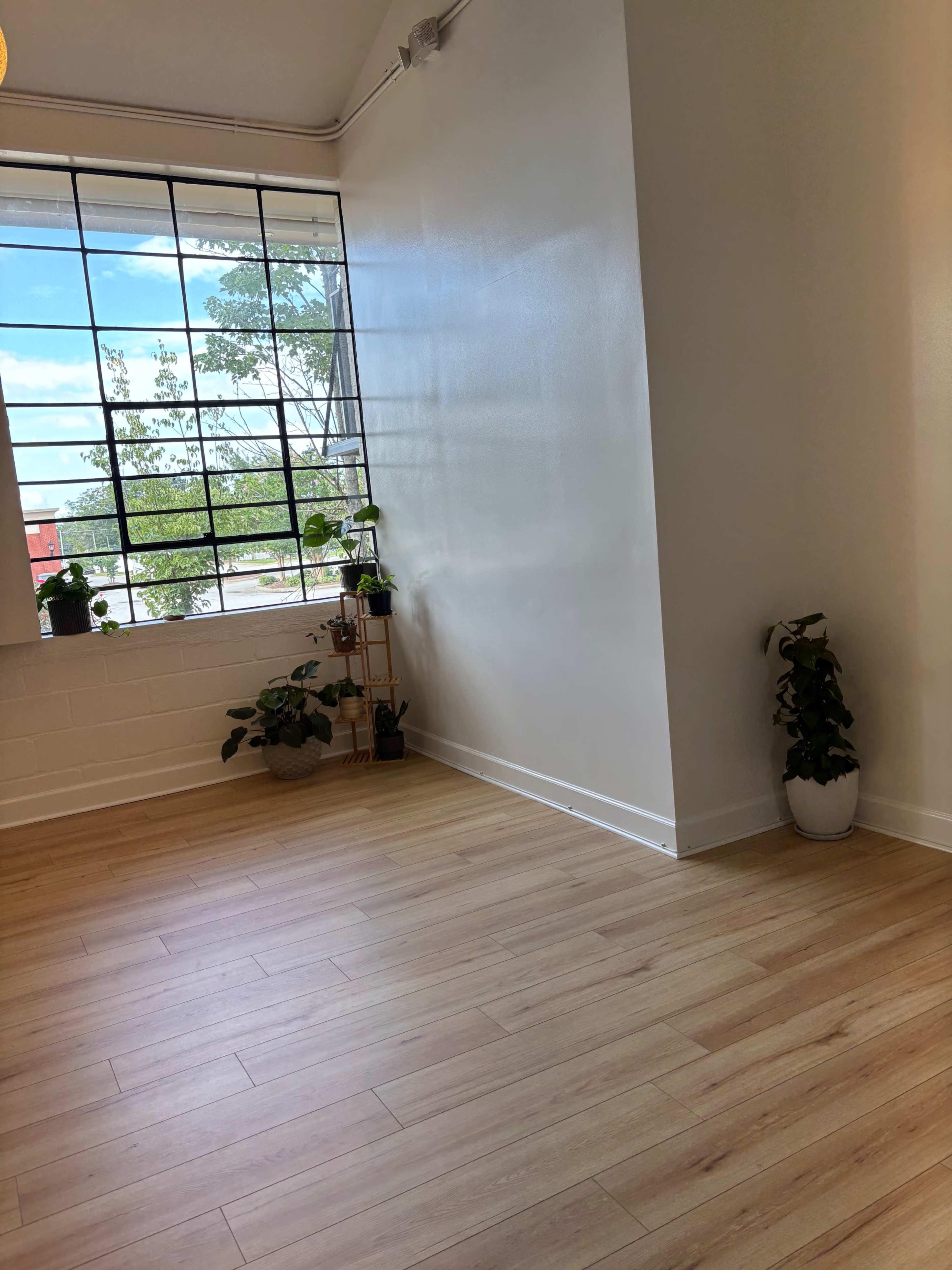 A bright room with wooden flooring features a large window and several plants positioned by the wall.