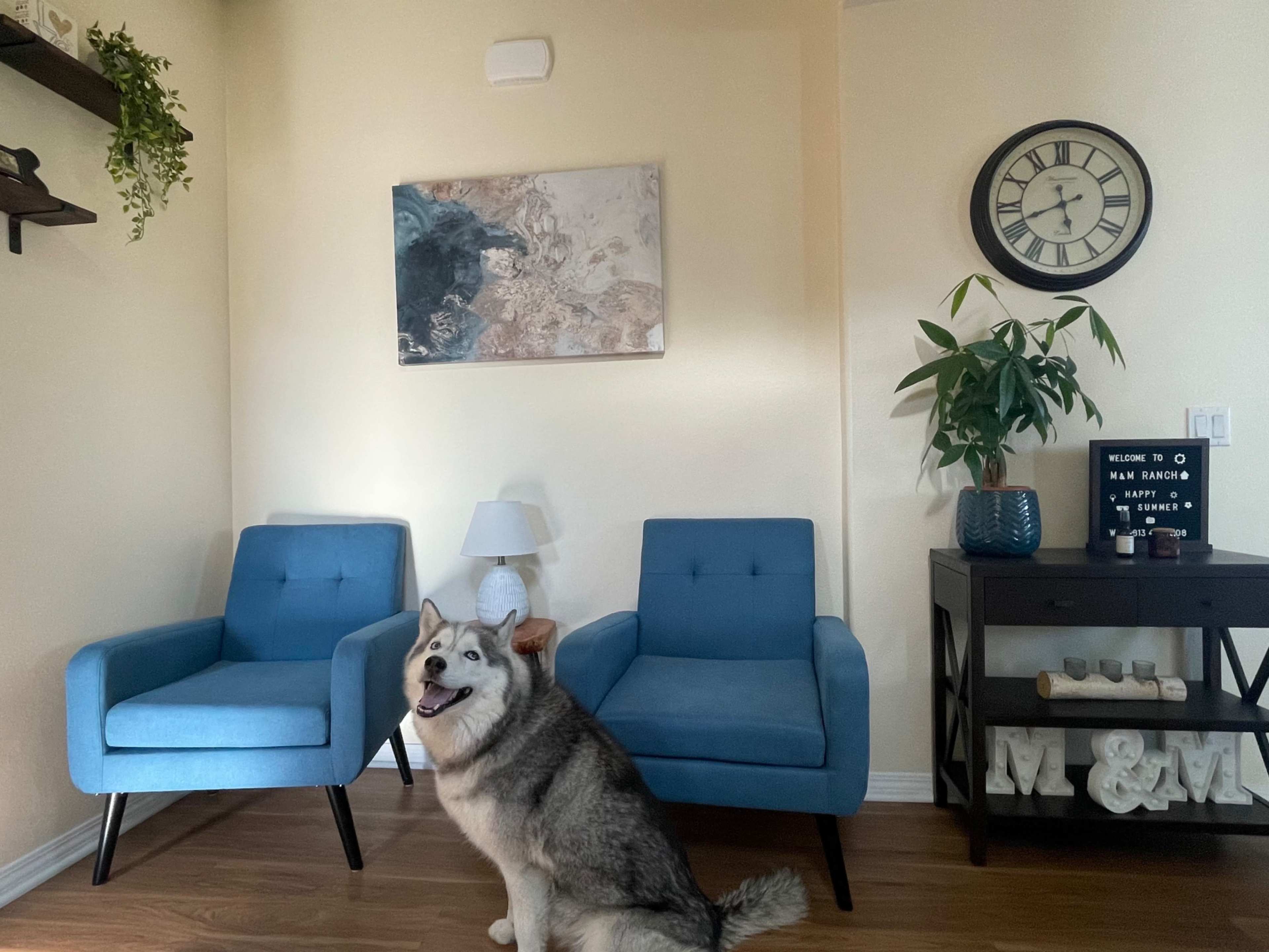 Bright and Open Family Style Home in Quiet Neighborhood Image in Fontana, Fontana, CA