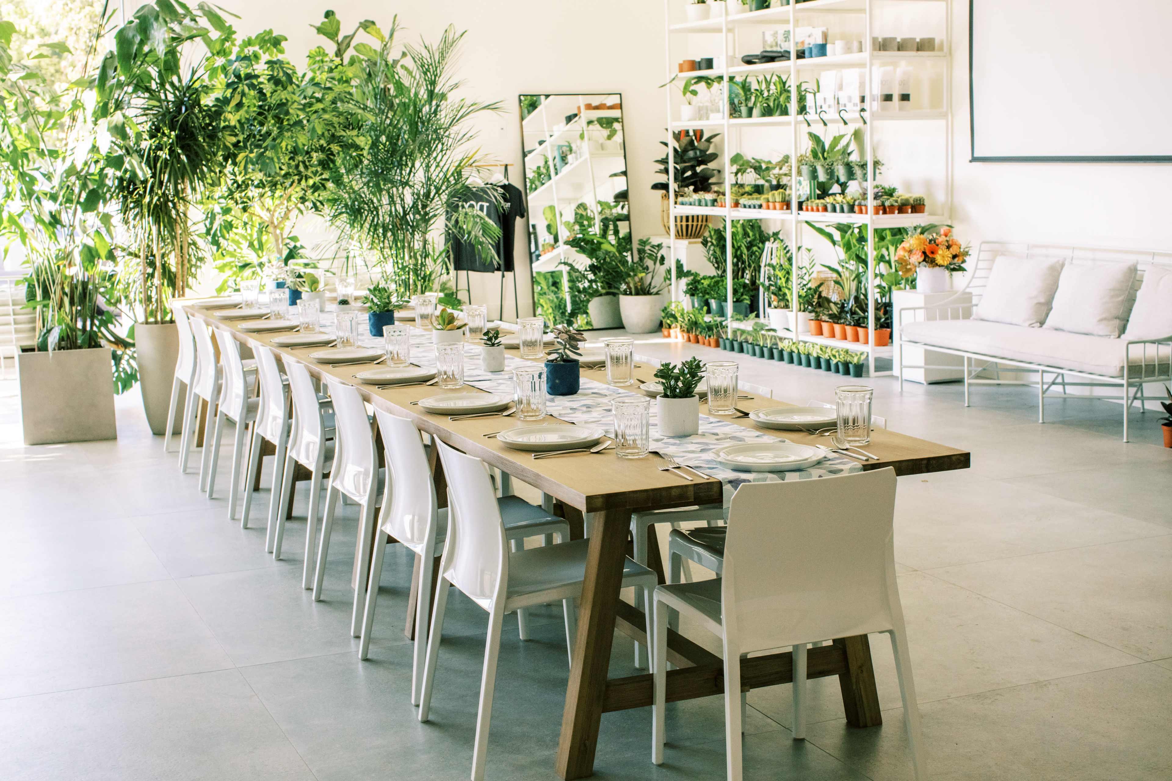 A long wooden dining table is set for a meal, surrounded by white chairs, in a bright room filled with potted plants and shelving units.