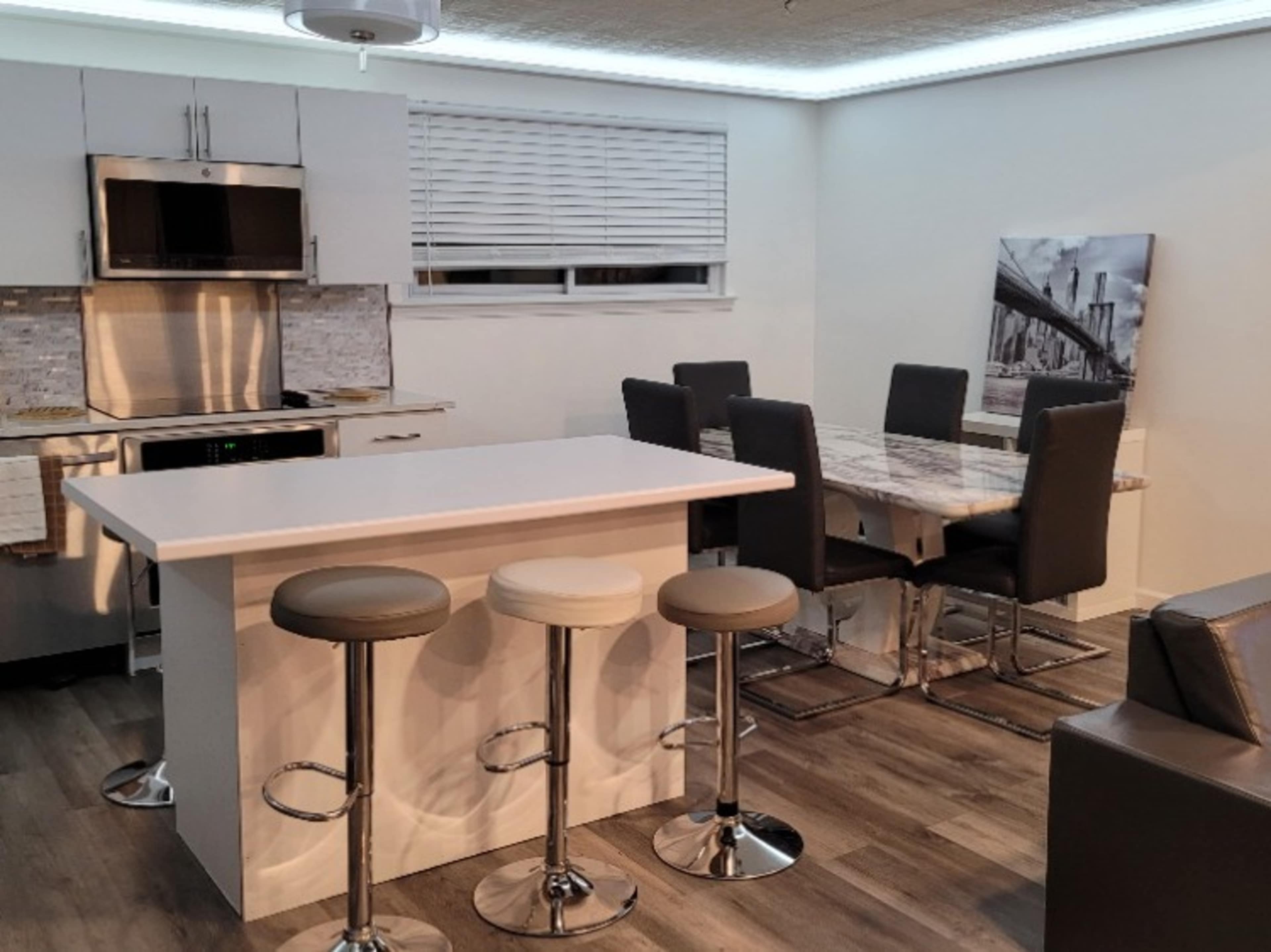 Living Room & Kitchen Area 