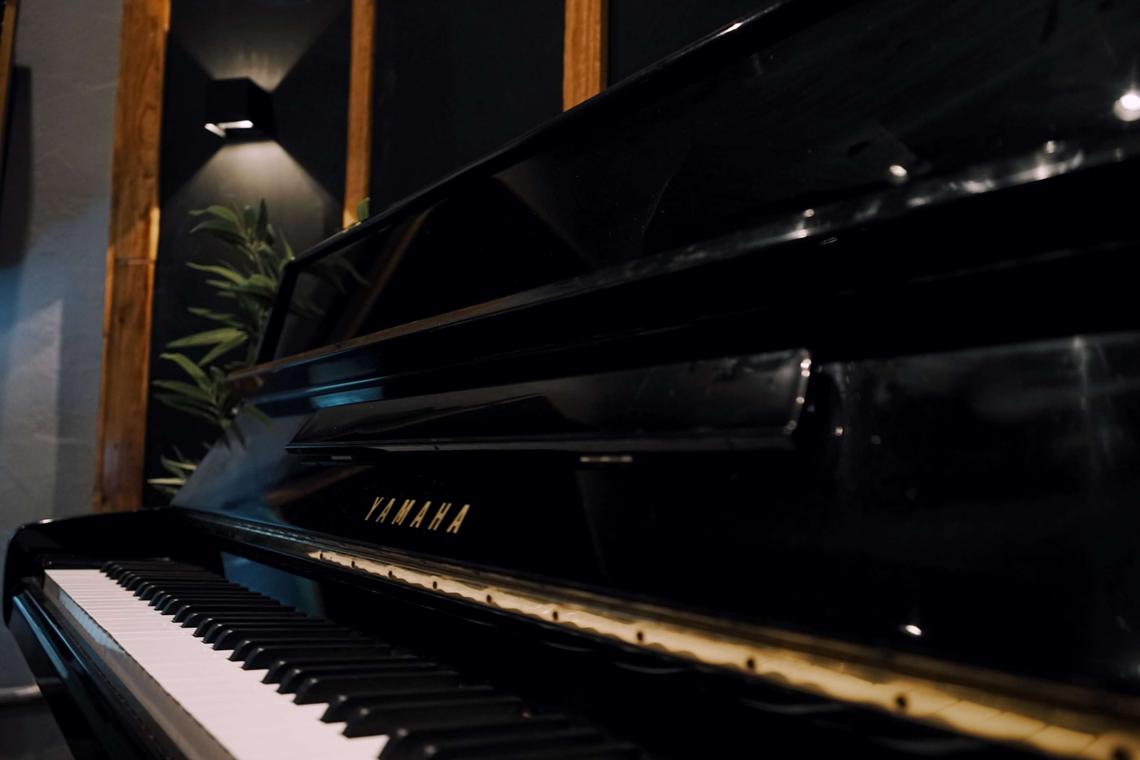 The image shows a close-up of a black Yamaha piano with its keys visible and a blurred background featuring a plant and a wall.