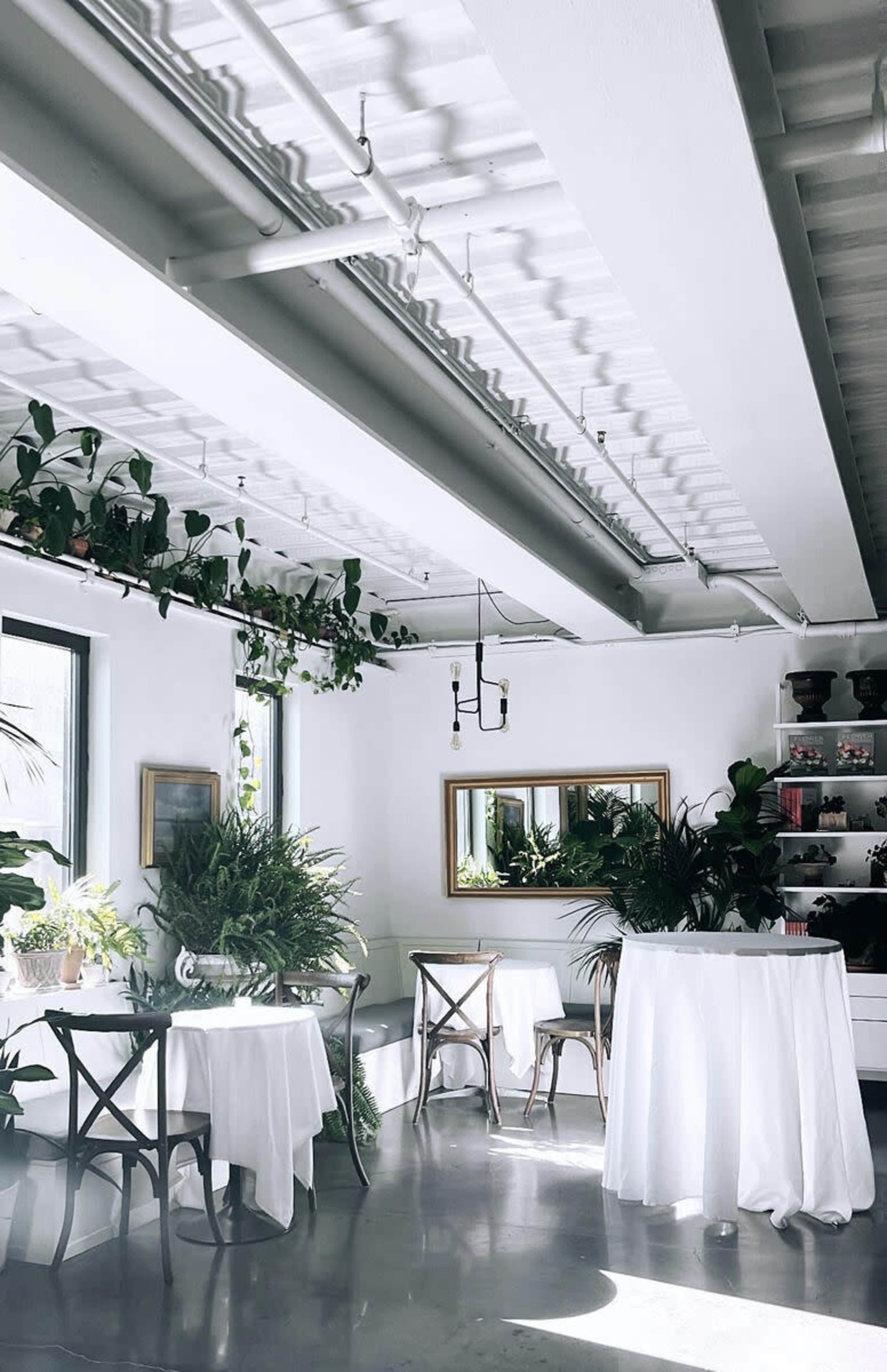 A spacious, well-lit interior with tables covered in white tablecloths, surrounded by greenery and a large mirror on one wall.