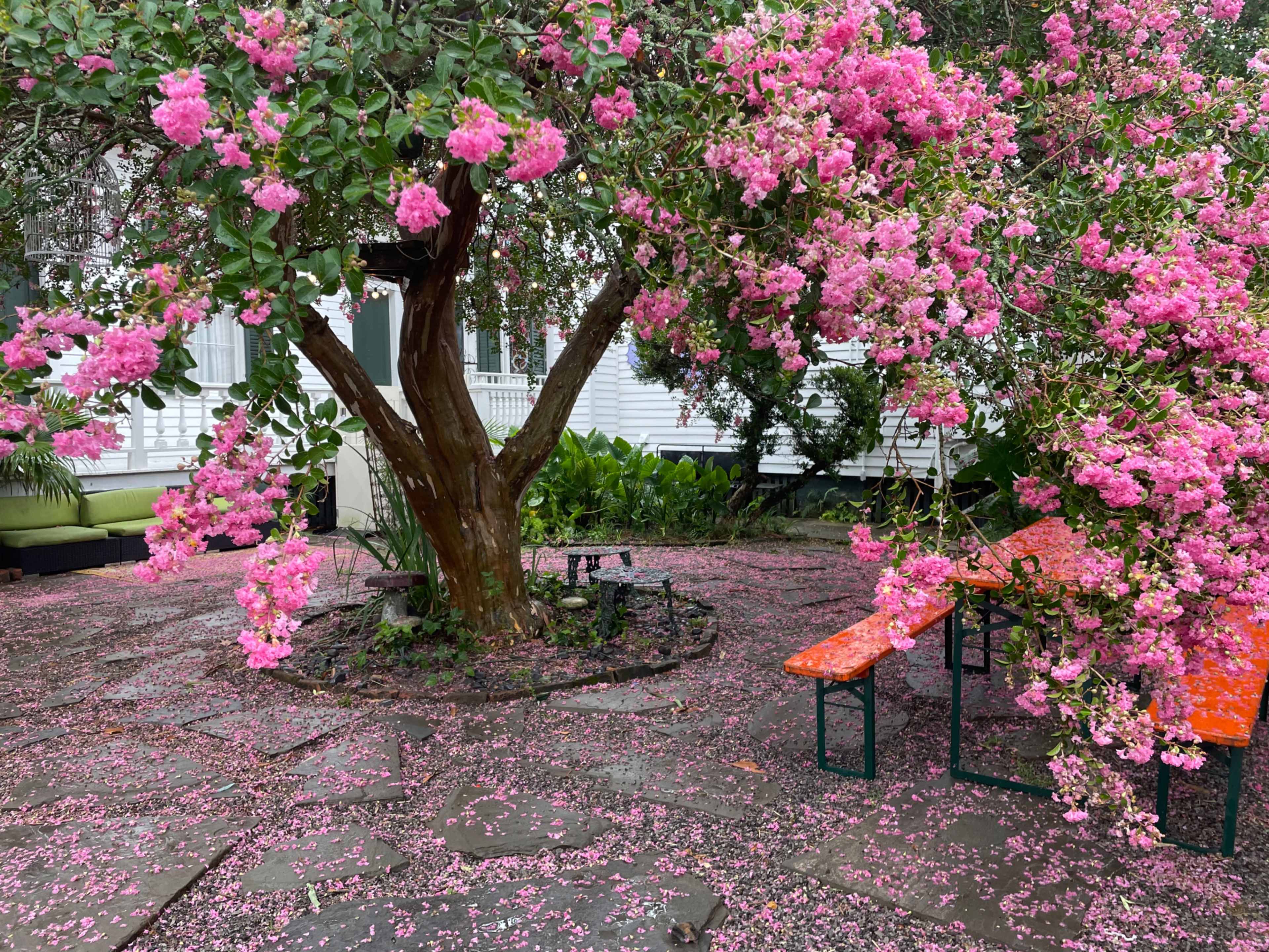 Historic Victorian Mansion - Bywater Wonderland Image in Bywater, New Orleans, LA