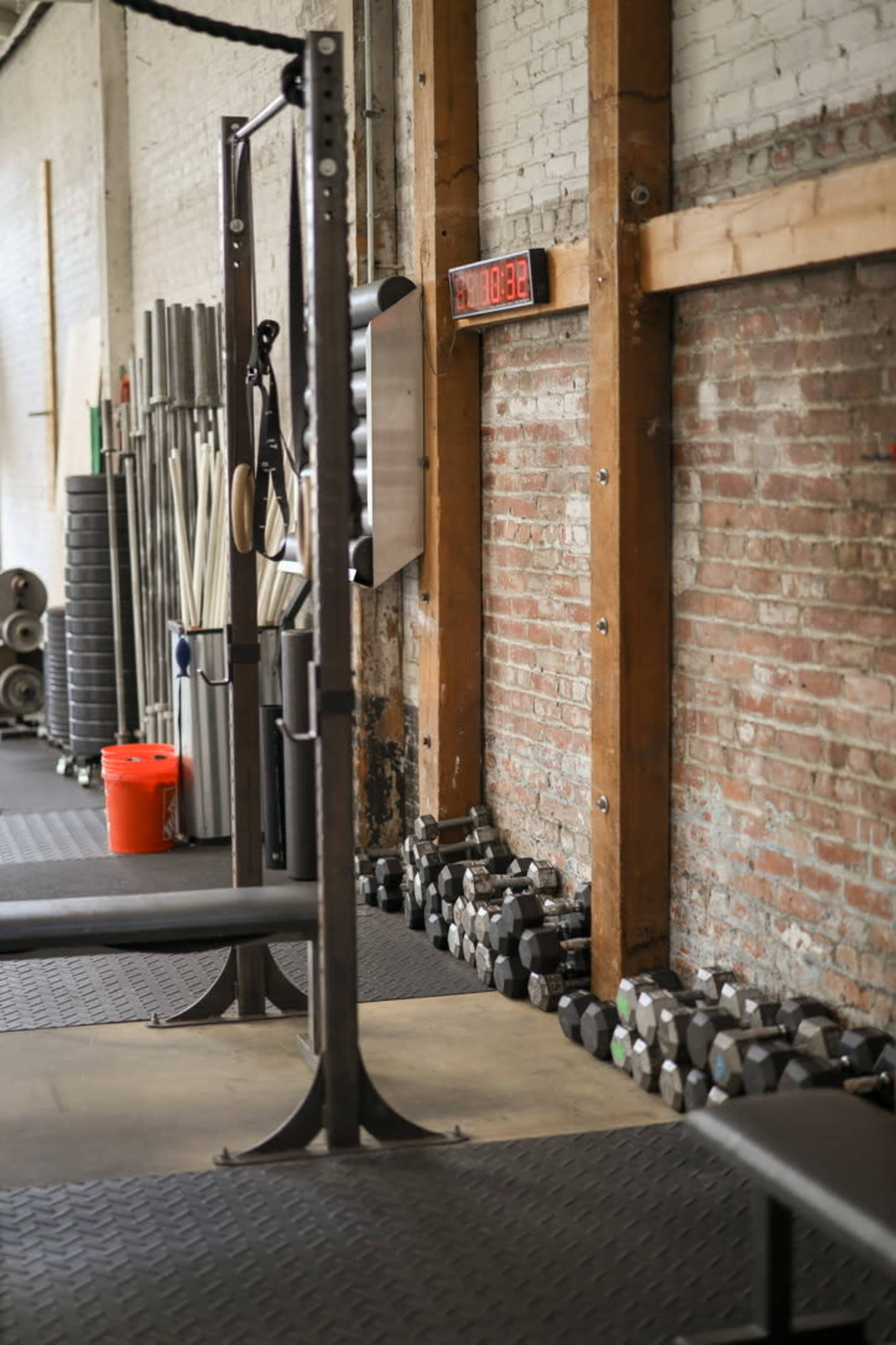 Beautiful light-filled old-school gym Image in Temescal, Oakland, CA