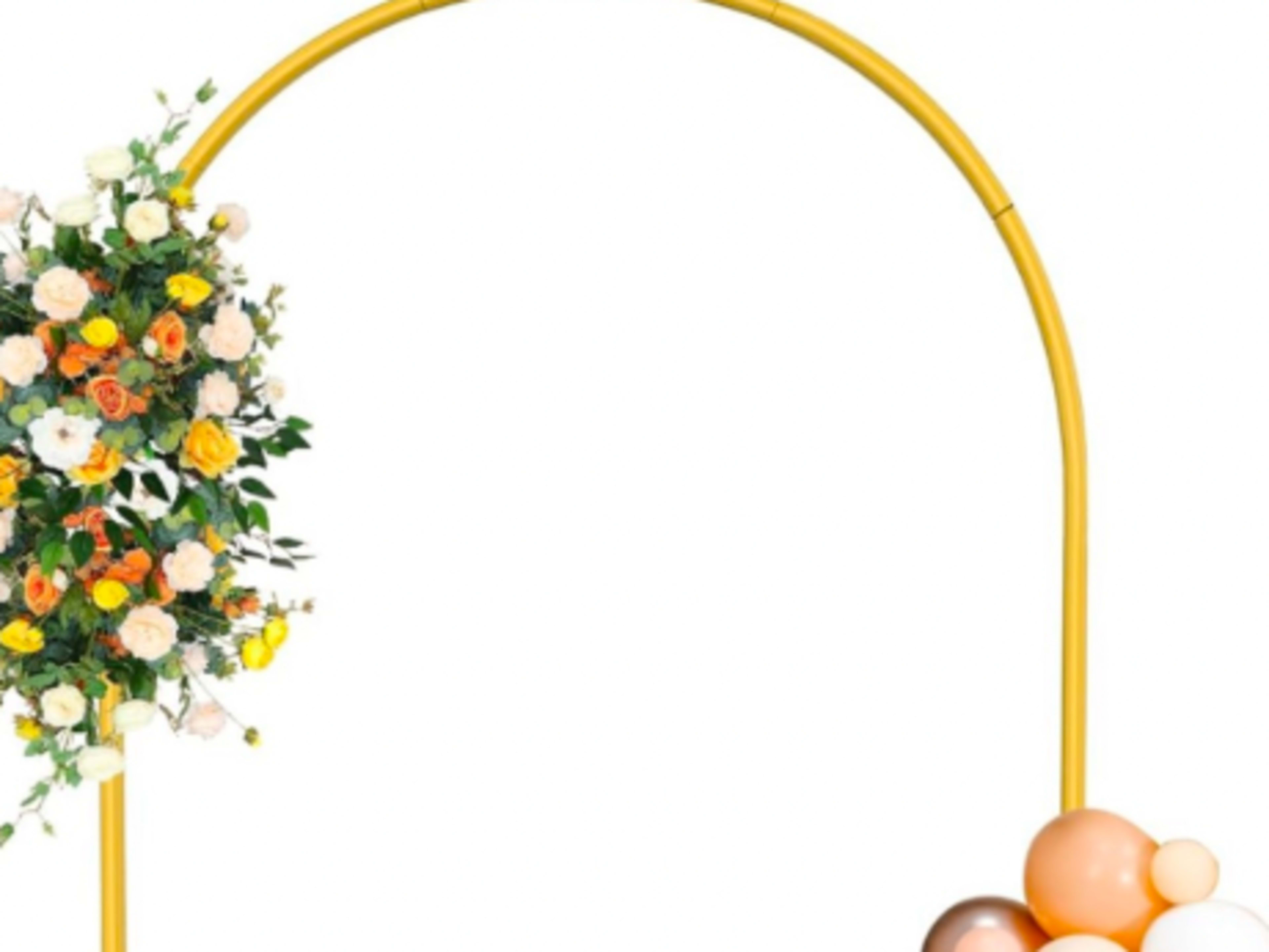 Backdrop Stand/ Arch Stand/Chiara Wall