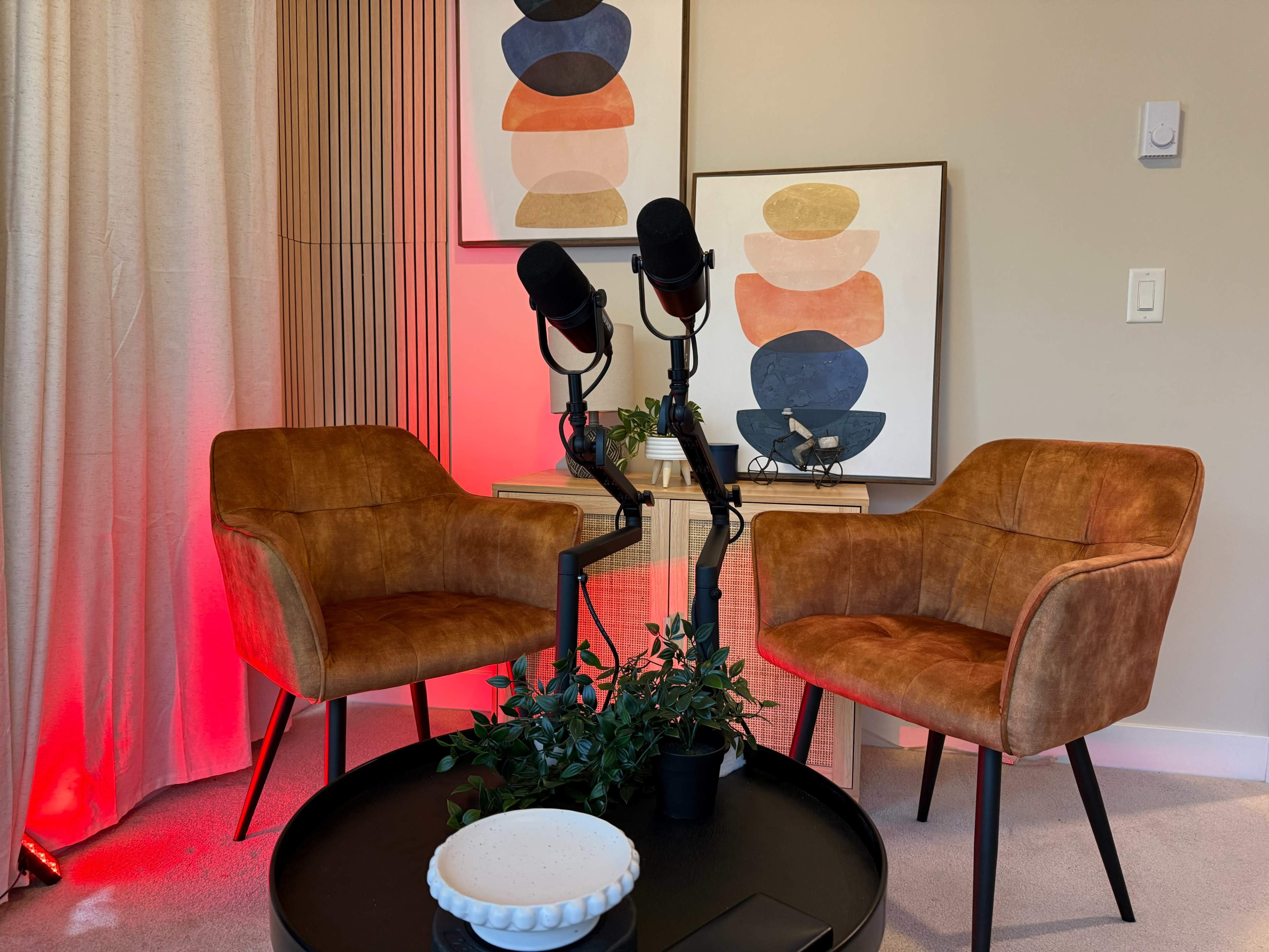 The scene features two brown chairs positioned near a table with a potted plant, accompanied by two microphones mounted on stands and colorful abstract art on the walls.