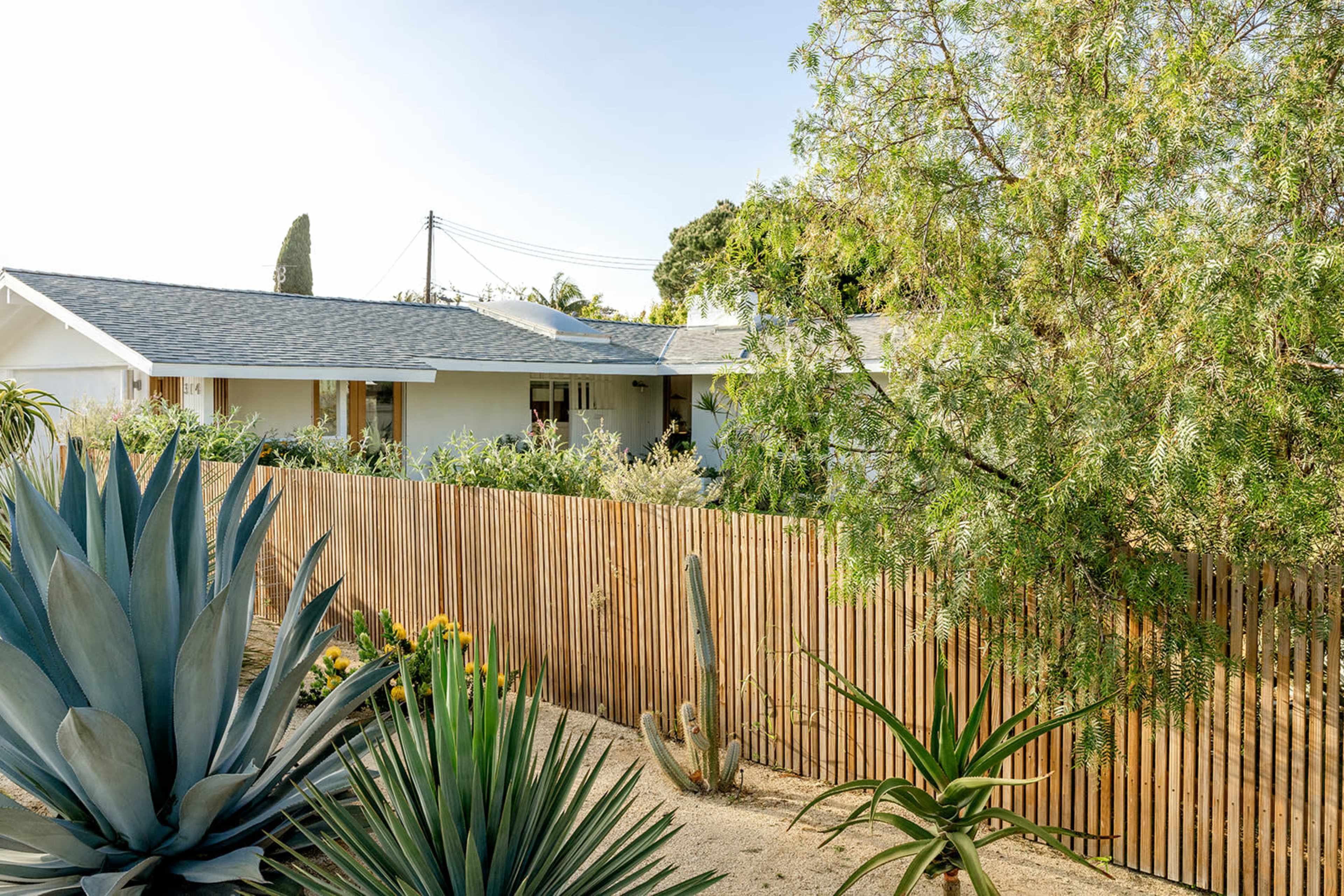A single-story house with a gray roof is surrounded by fencing and various plants, including large succulents and shrubs.