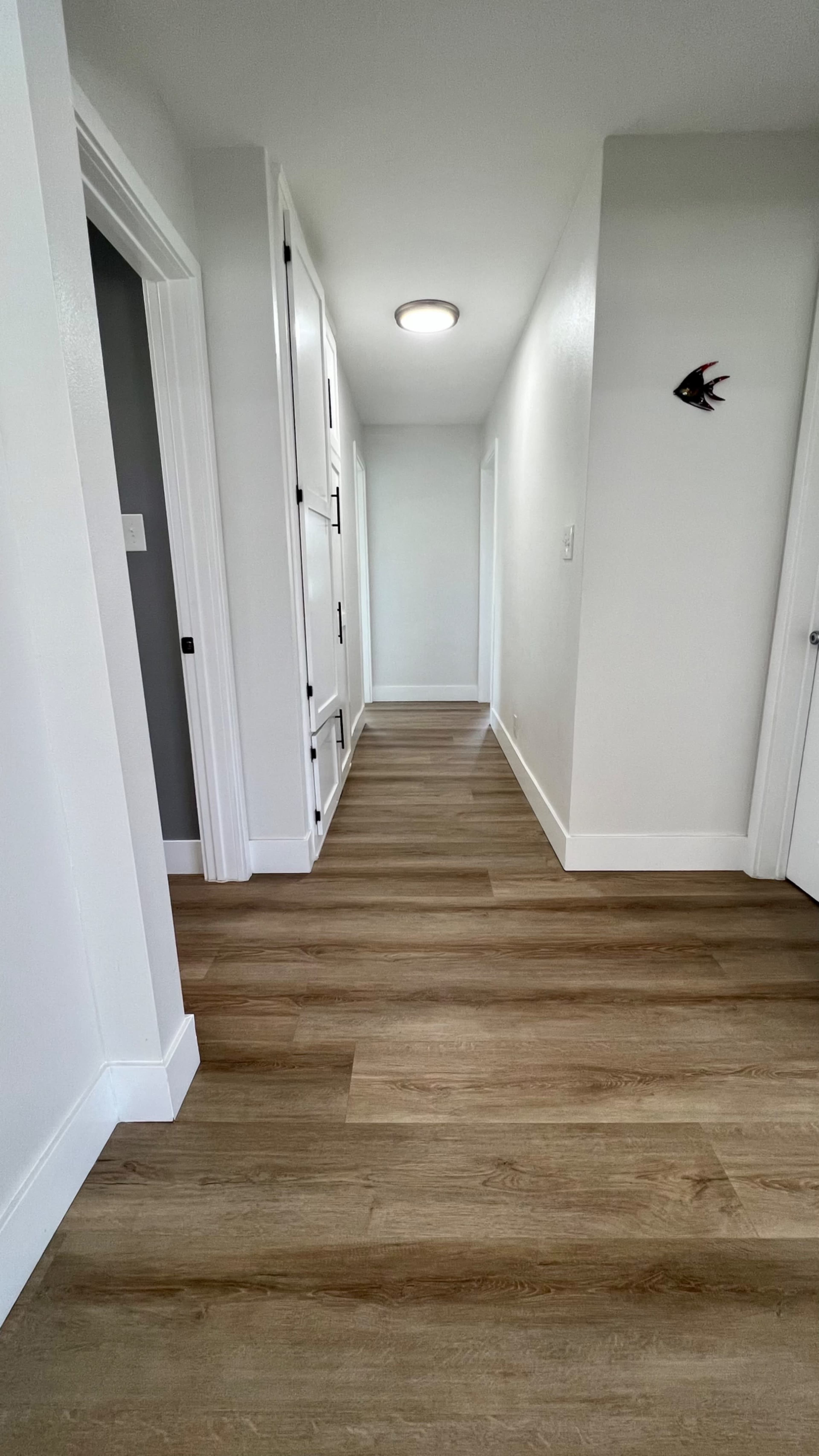 A brightly lit hallway with wooden flooring and white walls, featuring doors on either side and a small decorative object on one wall.