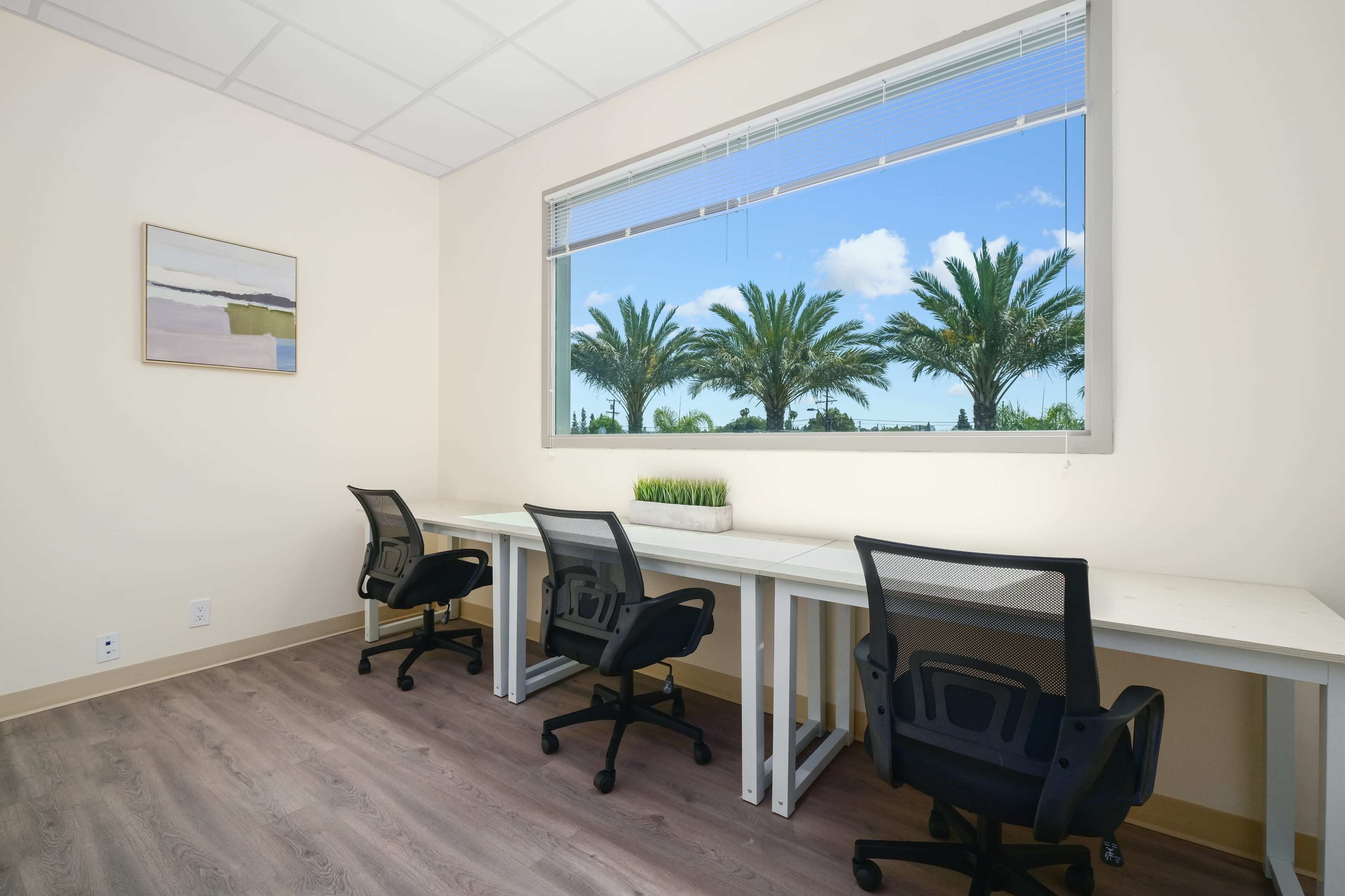 A bright office space with three black office chairs positioned at white desks, facing a large window with palm trees visible outside.