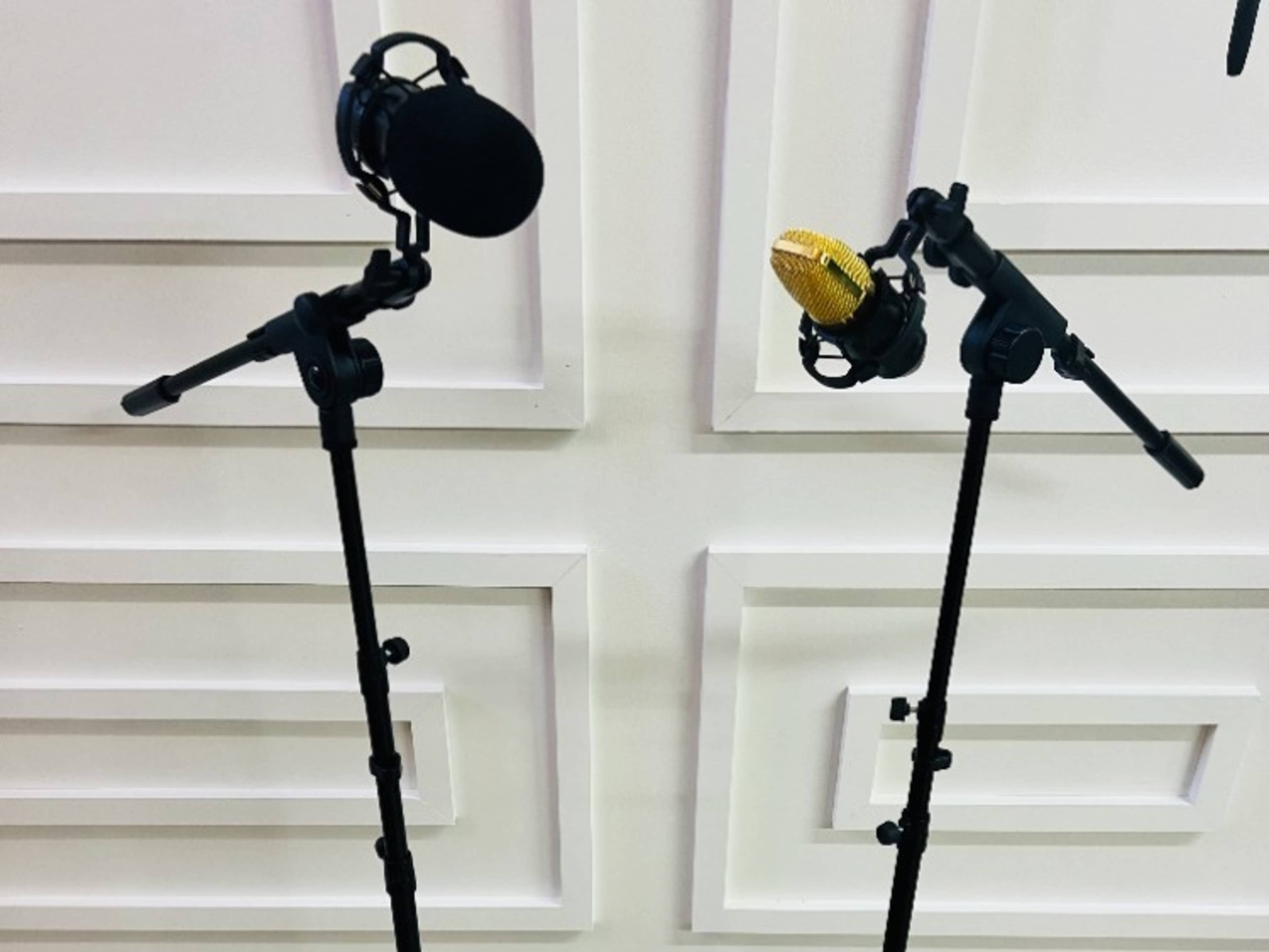 Podcast Mic PROPS (set of 2)