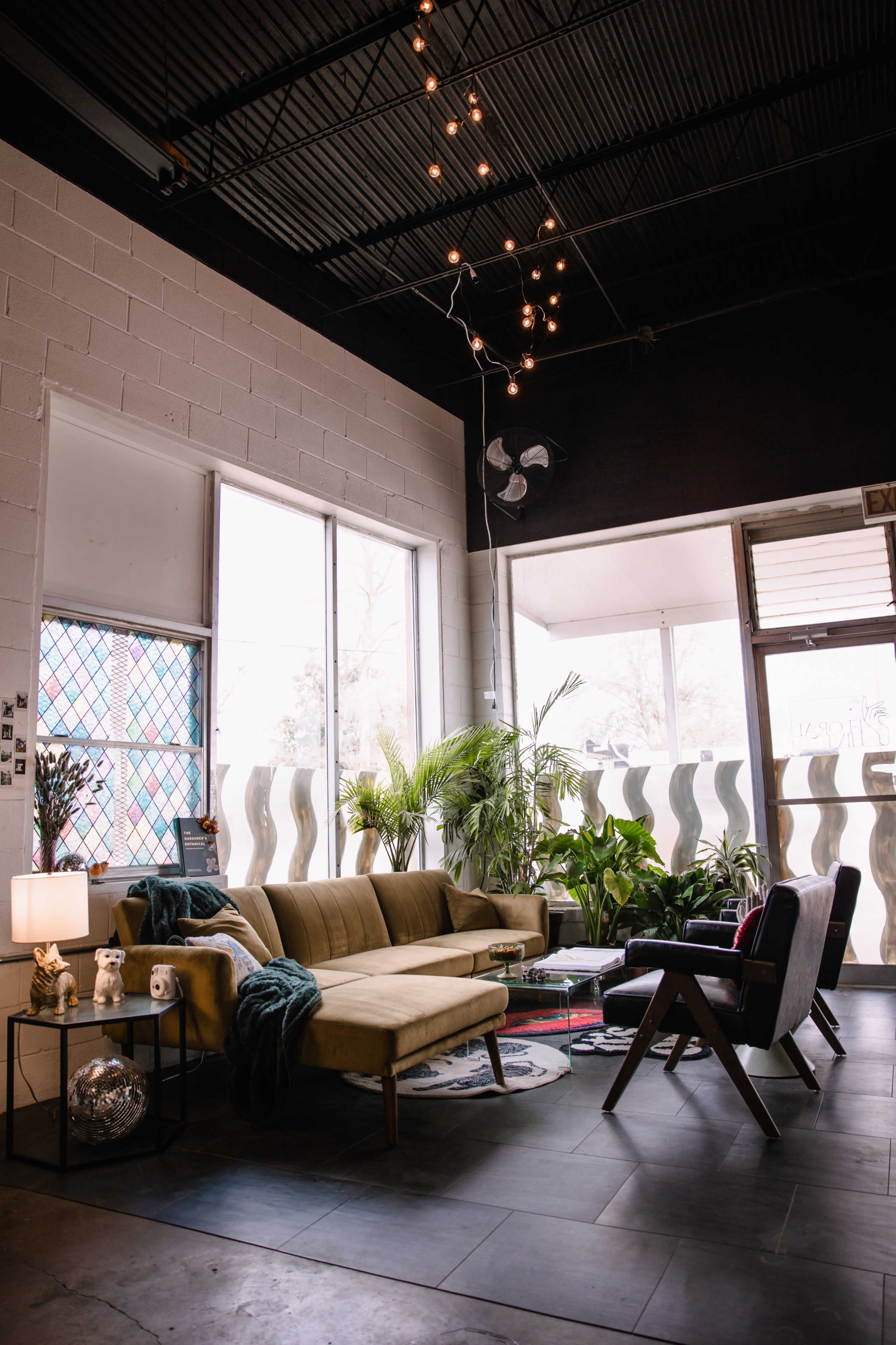 A modern lounge area with a yellow sofa, dark chairs, large windows, and several indoor plants.
