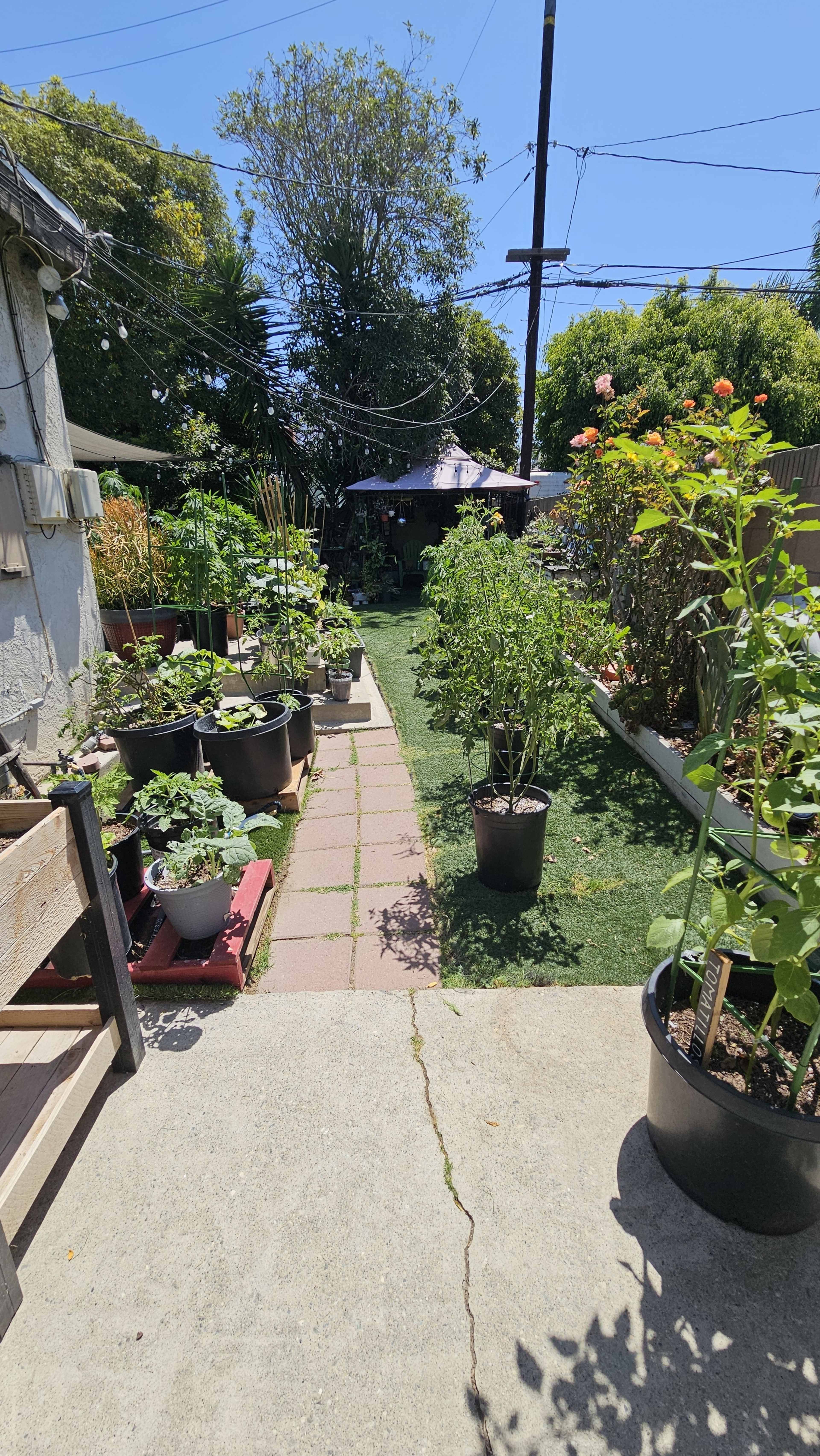 Urban Garden Oasis: Intimate Space for Events, Weddings, Parties Image in Los Altos, Long Beach, CA