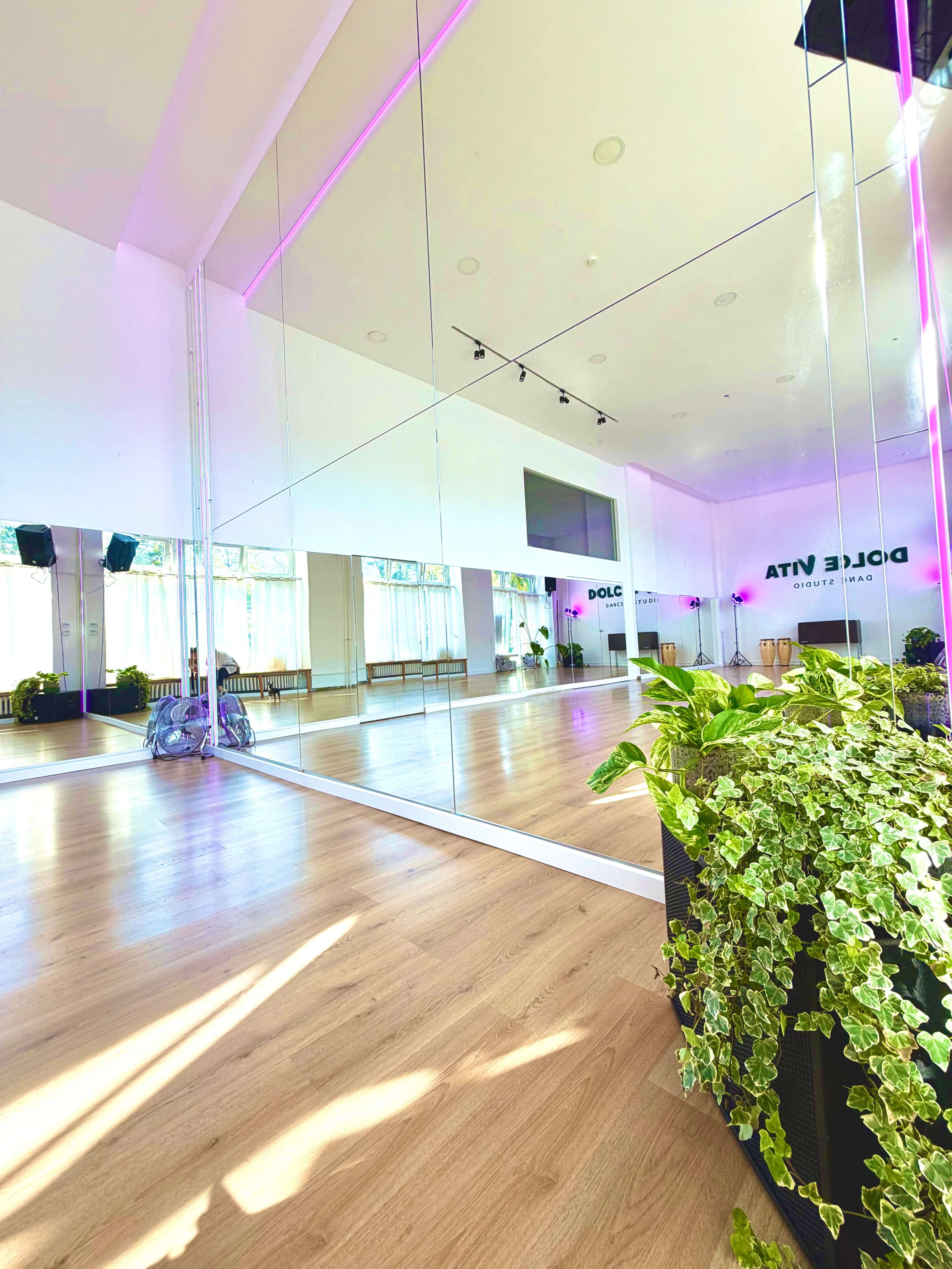 The image shows a spacious dance studio with mirrored walls, wooden flooring, and plants in the corners, illuminated by soft lighting.