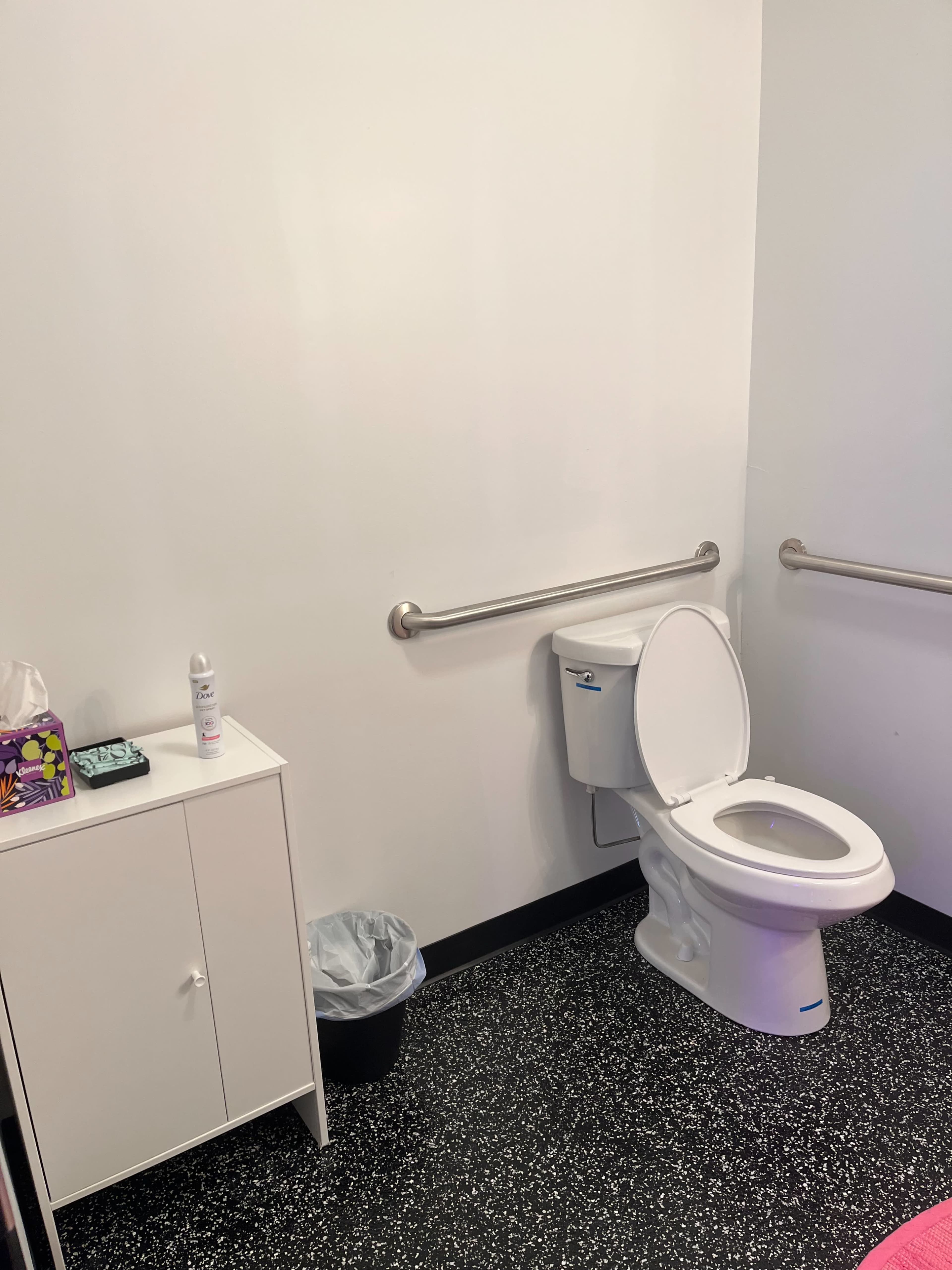 The image shows a clean restroom with a toilet, a wall-mounted grab bar, a small white cabinet, a trash can, and toiletries on a counter.