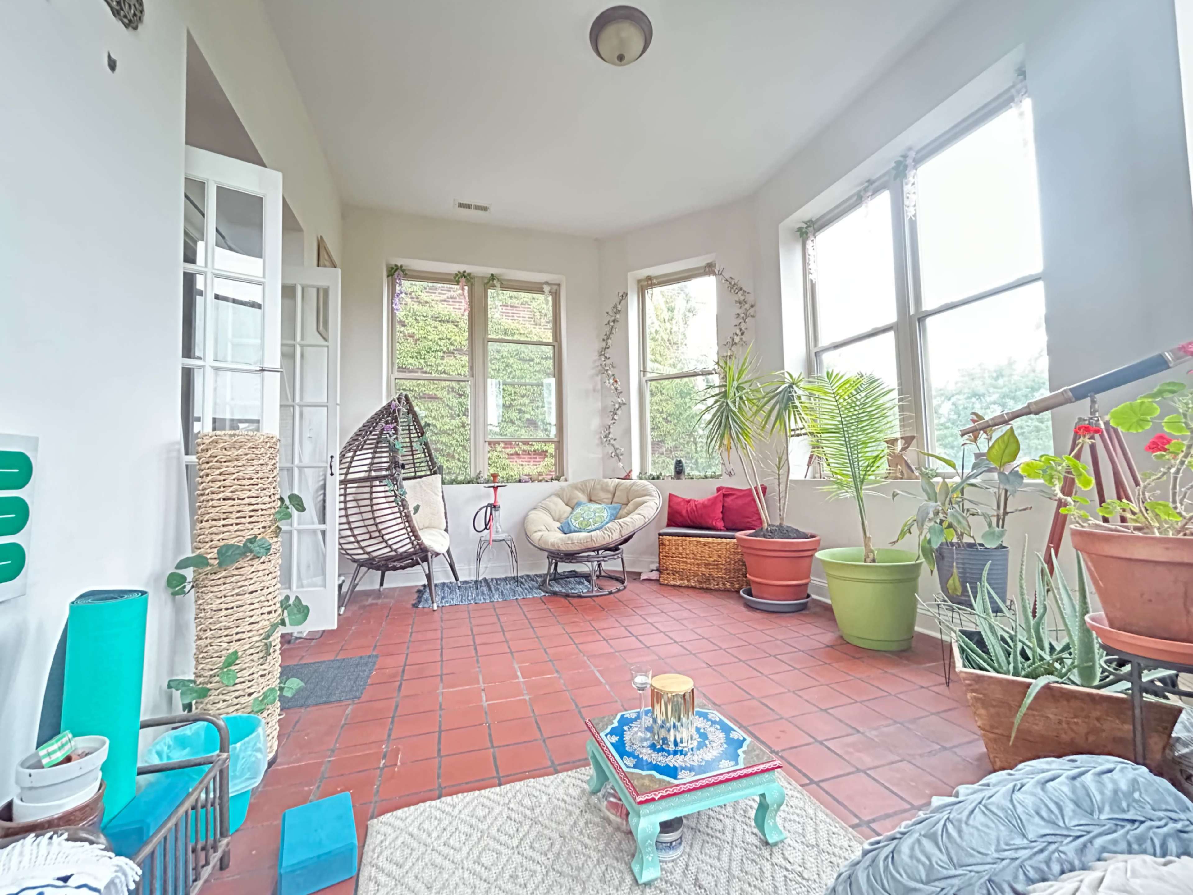 The image shows a sunlit sunroom with plants, a hanging chair, and a seating area featuring various potted greenery.