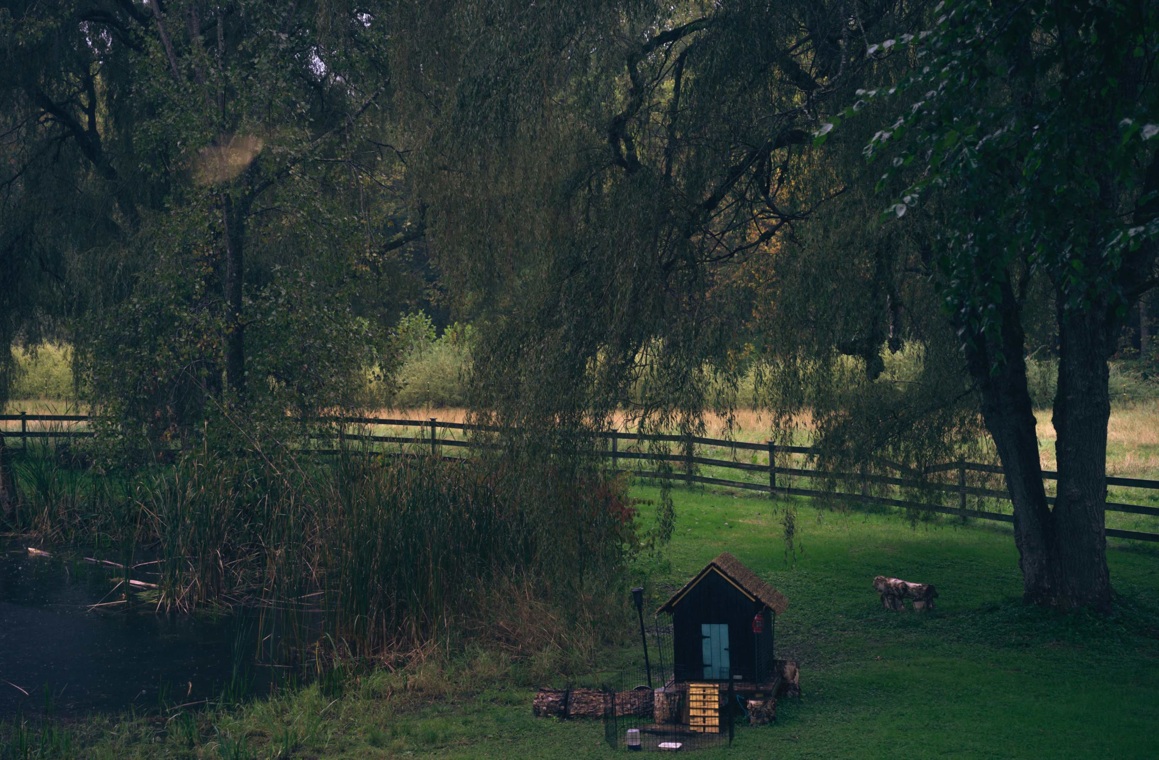A small wooden cabin sits near a pond surrounded by lush greenery and a wooden fence.
