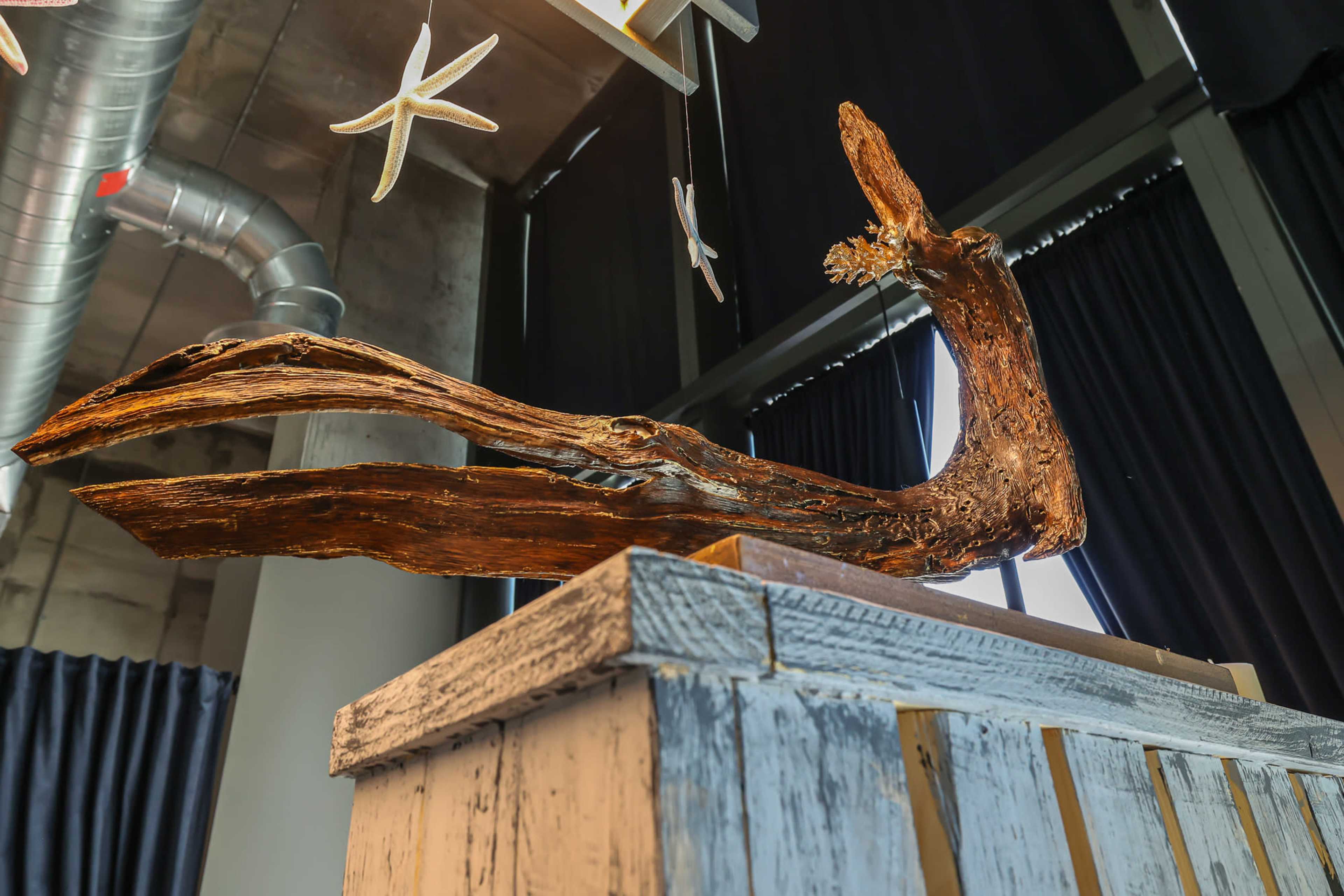 A sculptural piece resembling a twisted piece of driftwood is displayed atop a wooden surface in a modern interior space.